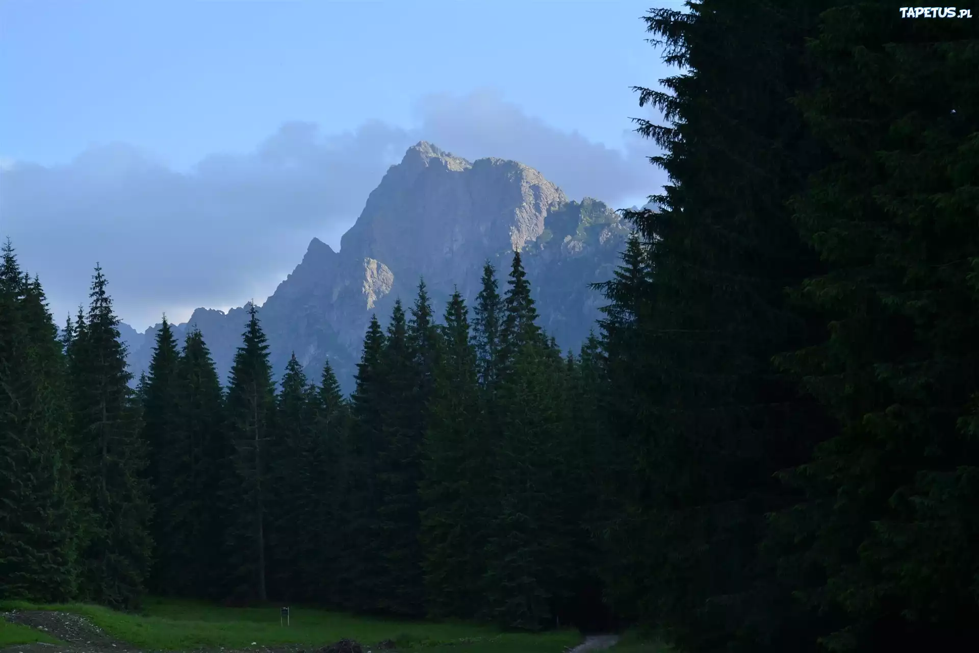 Tatry, Dolina Białej Wody, Góry, Las