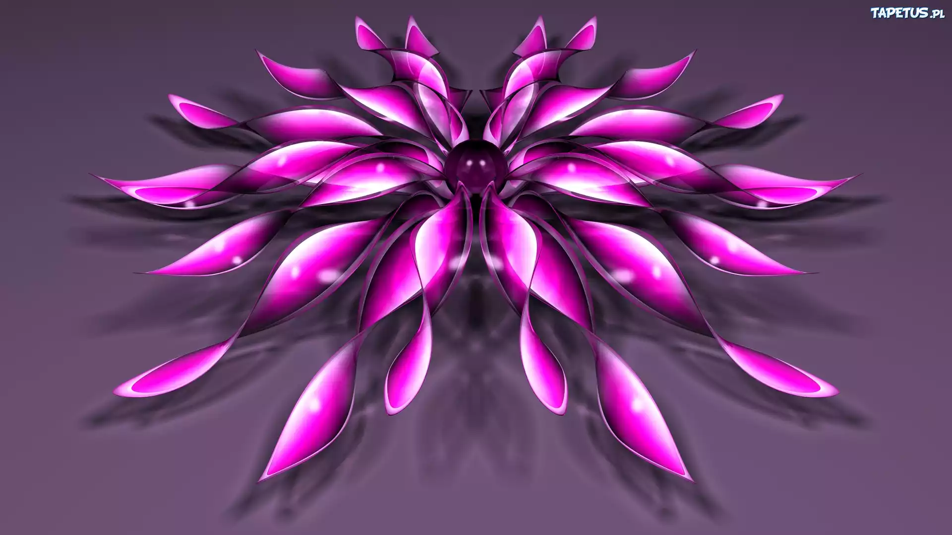Grafika, 3D, Purpurowy, Kwiat