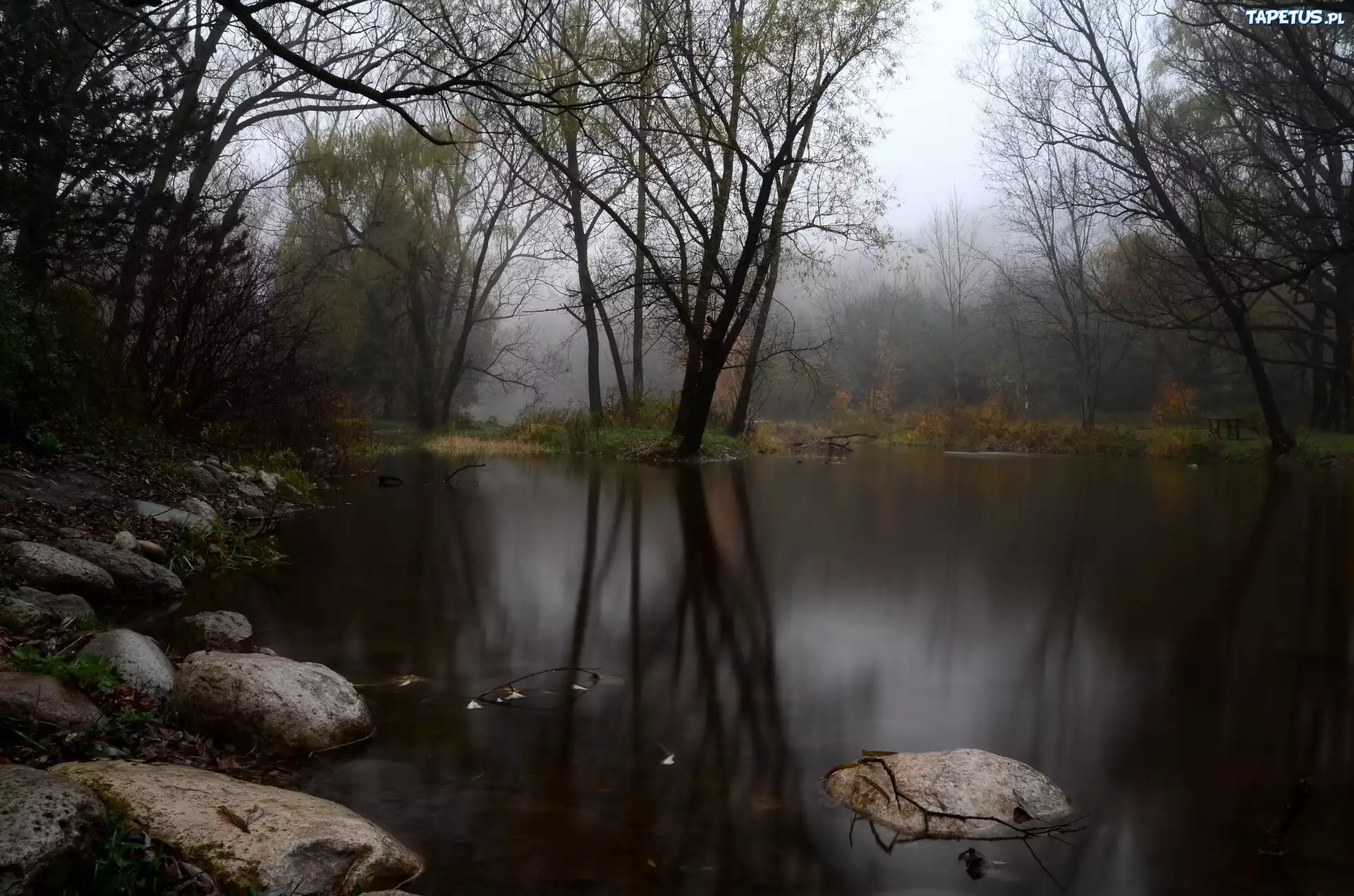 Jezioro, Drzewa, Zmierzch