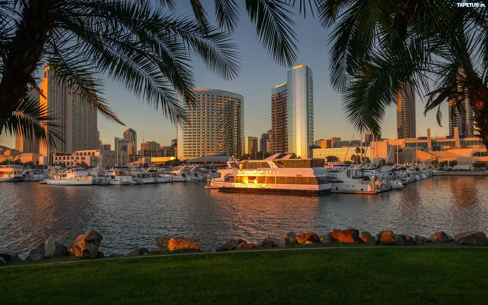 San Diego, USA, Kalifornia, Port, Jachty, Palmy