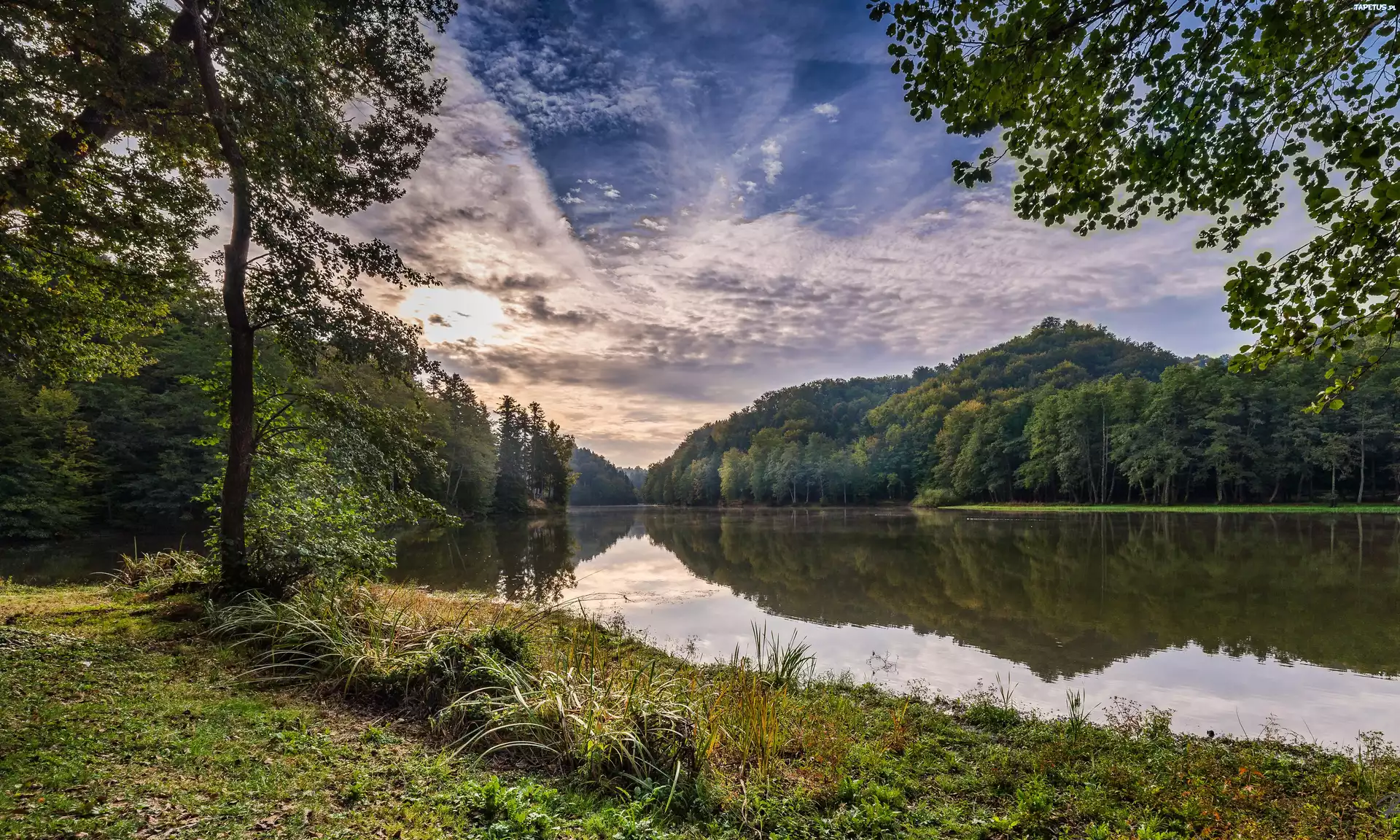 Jezioro, Chmury, Las