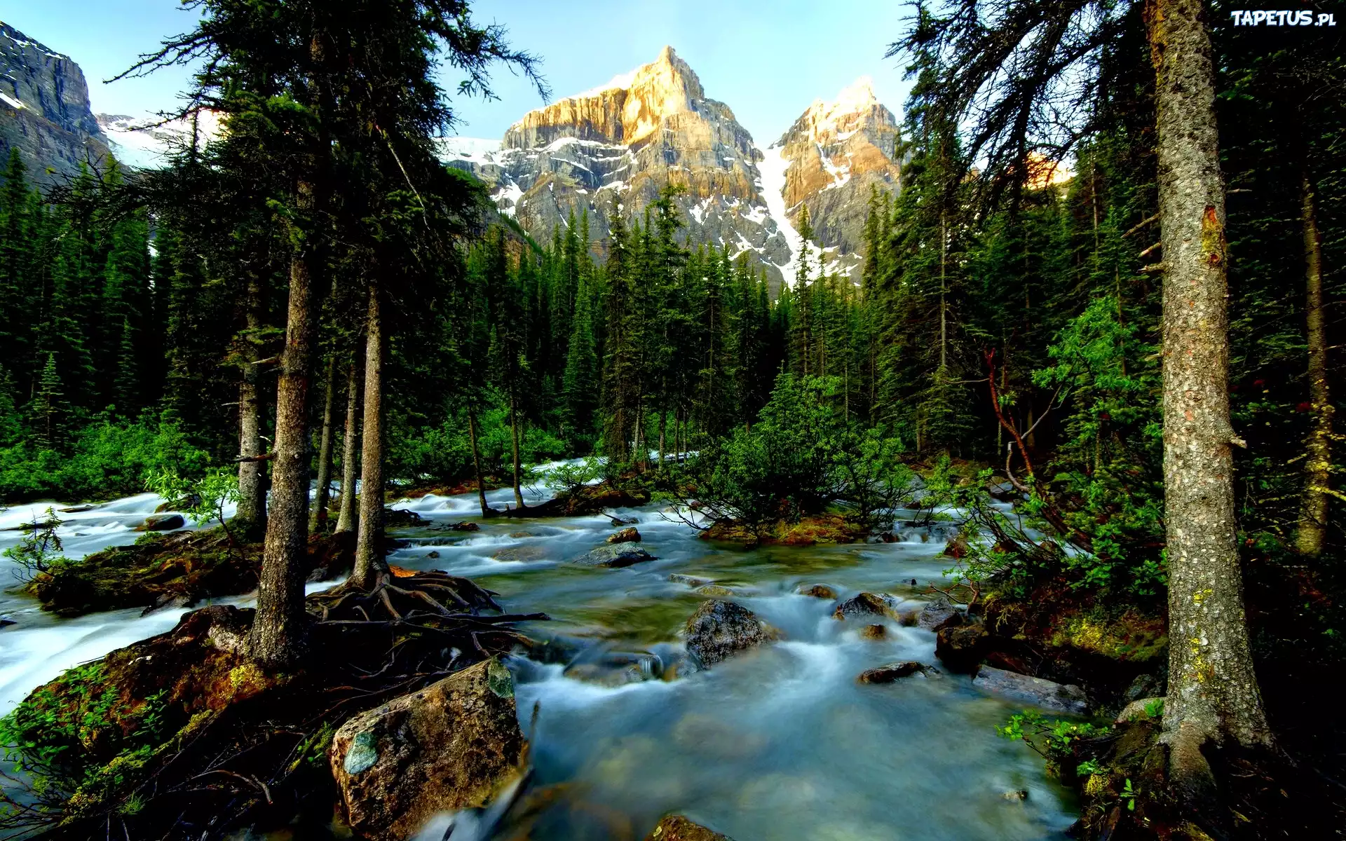 Góry, Las, Rzeka, Banff, Kanada