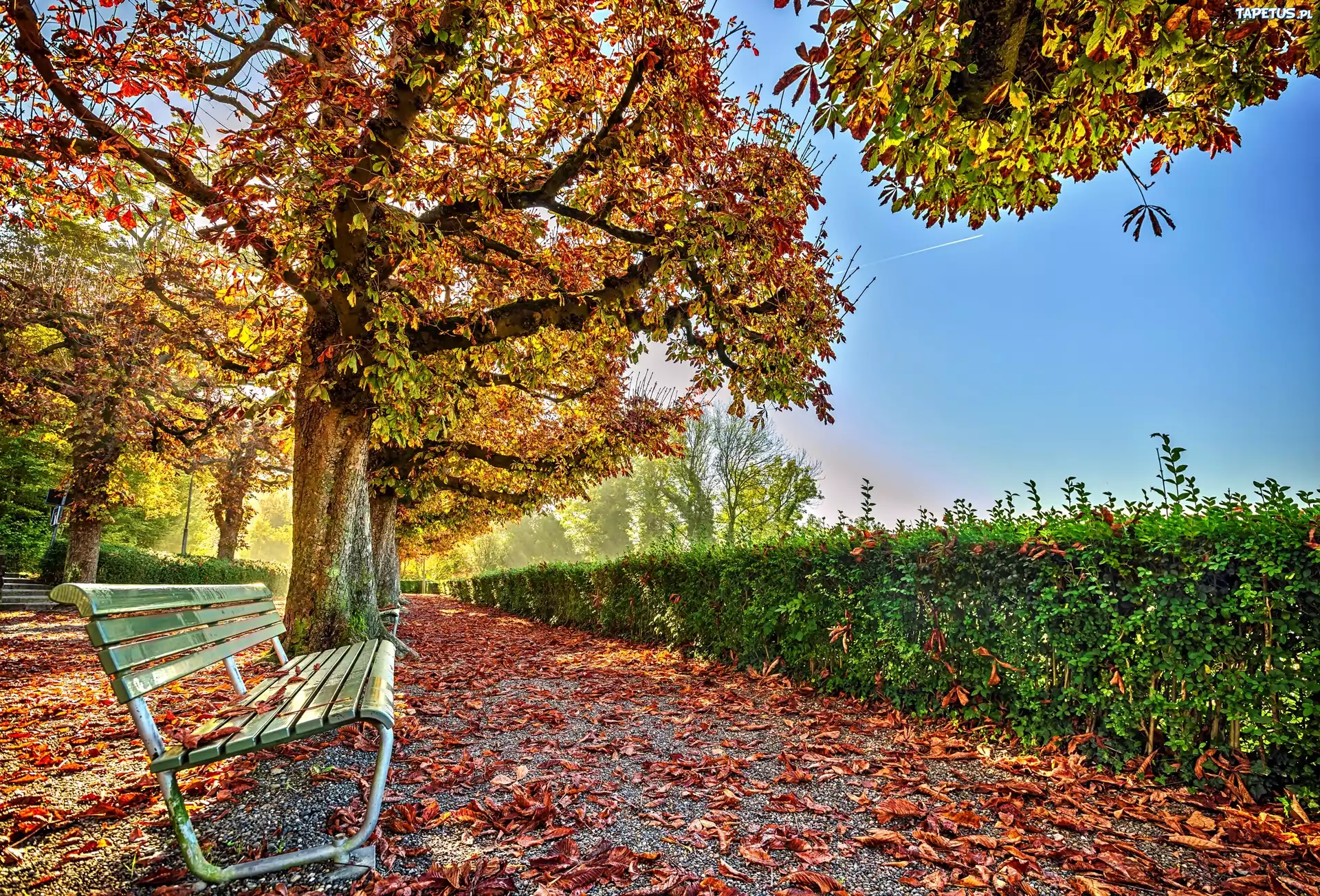 Jesień, Park, Alejka, Ławka, Liście