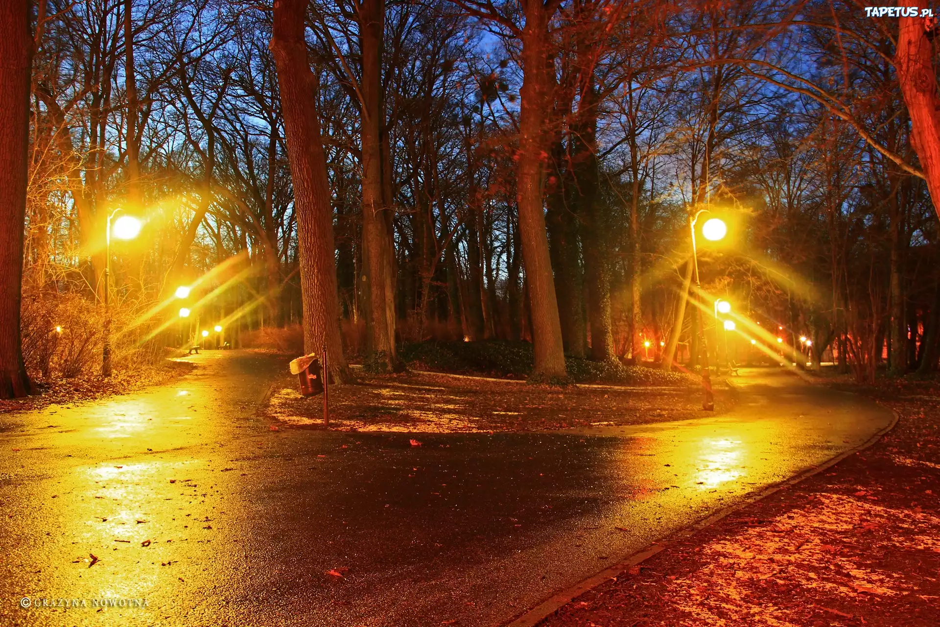 Park, Wieczór, Latarnie, Alejki