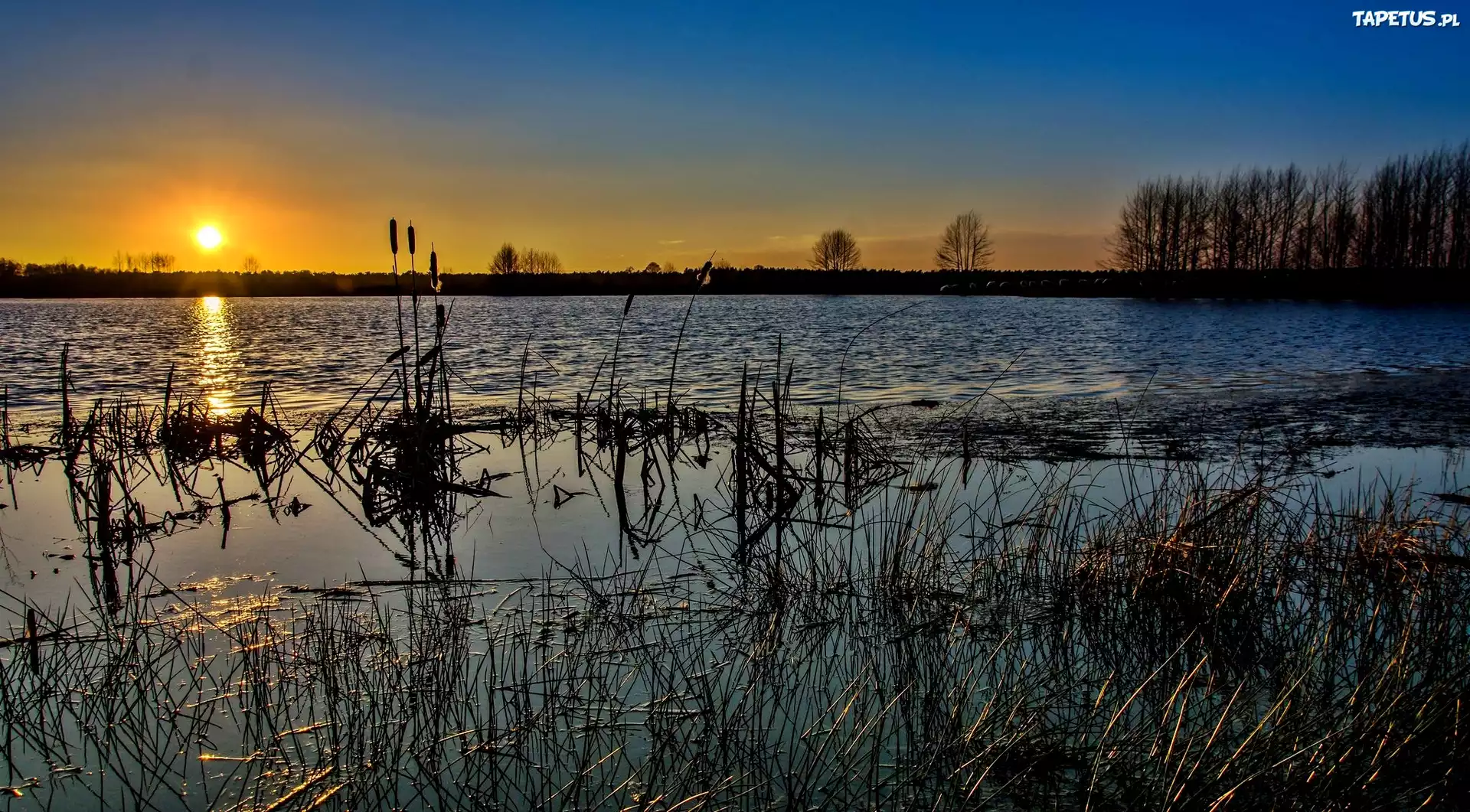 Szuwary, Jezioro, Zachód, Słońca