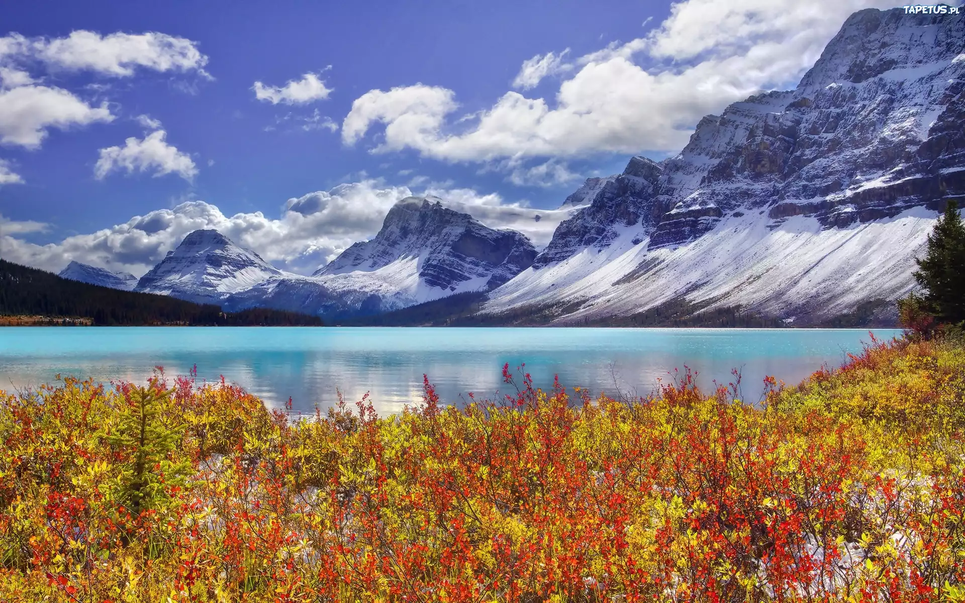 Jezioro, Góry, Park, Narodowy, Banff, Kanada