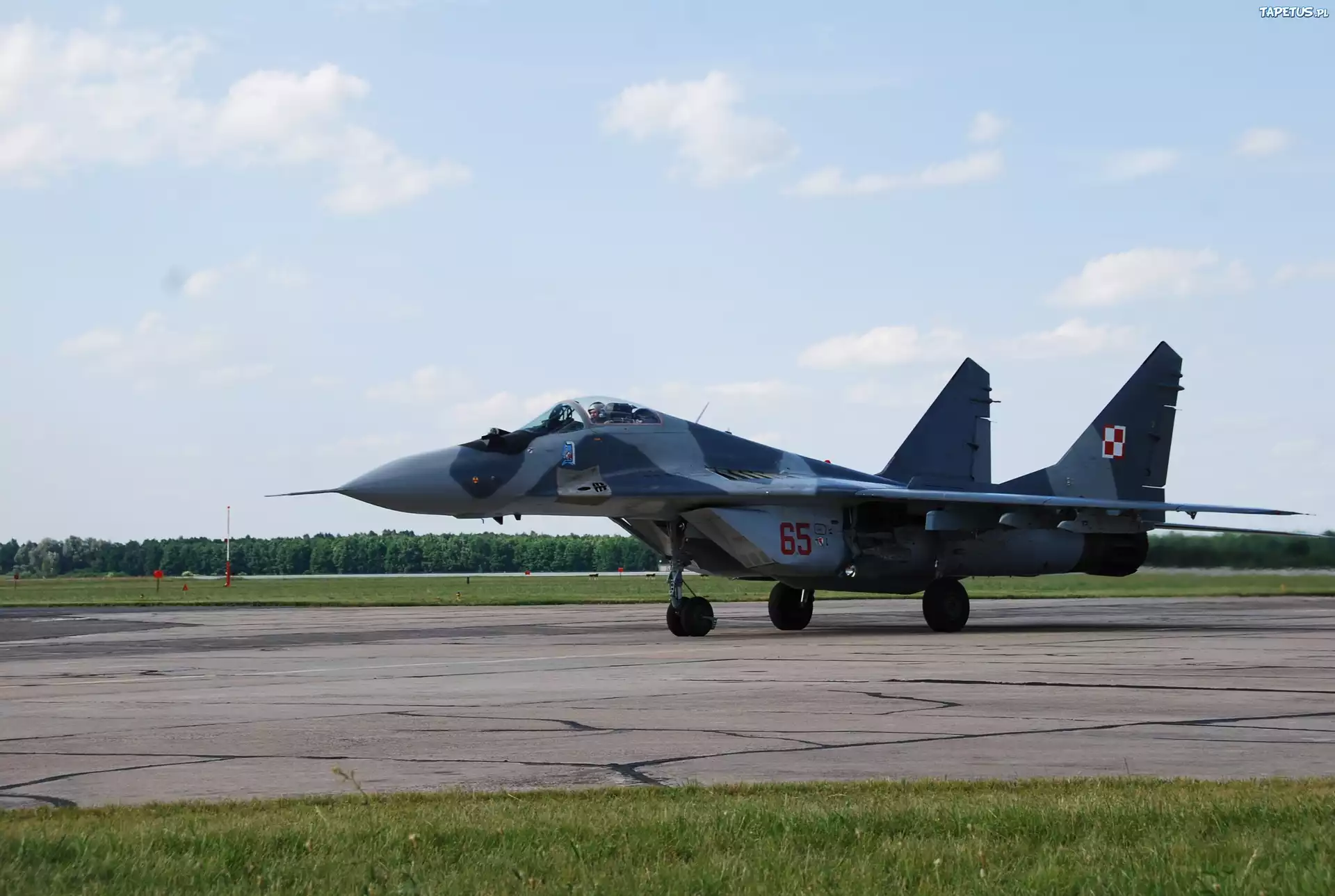 MIG 29