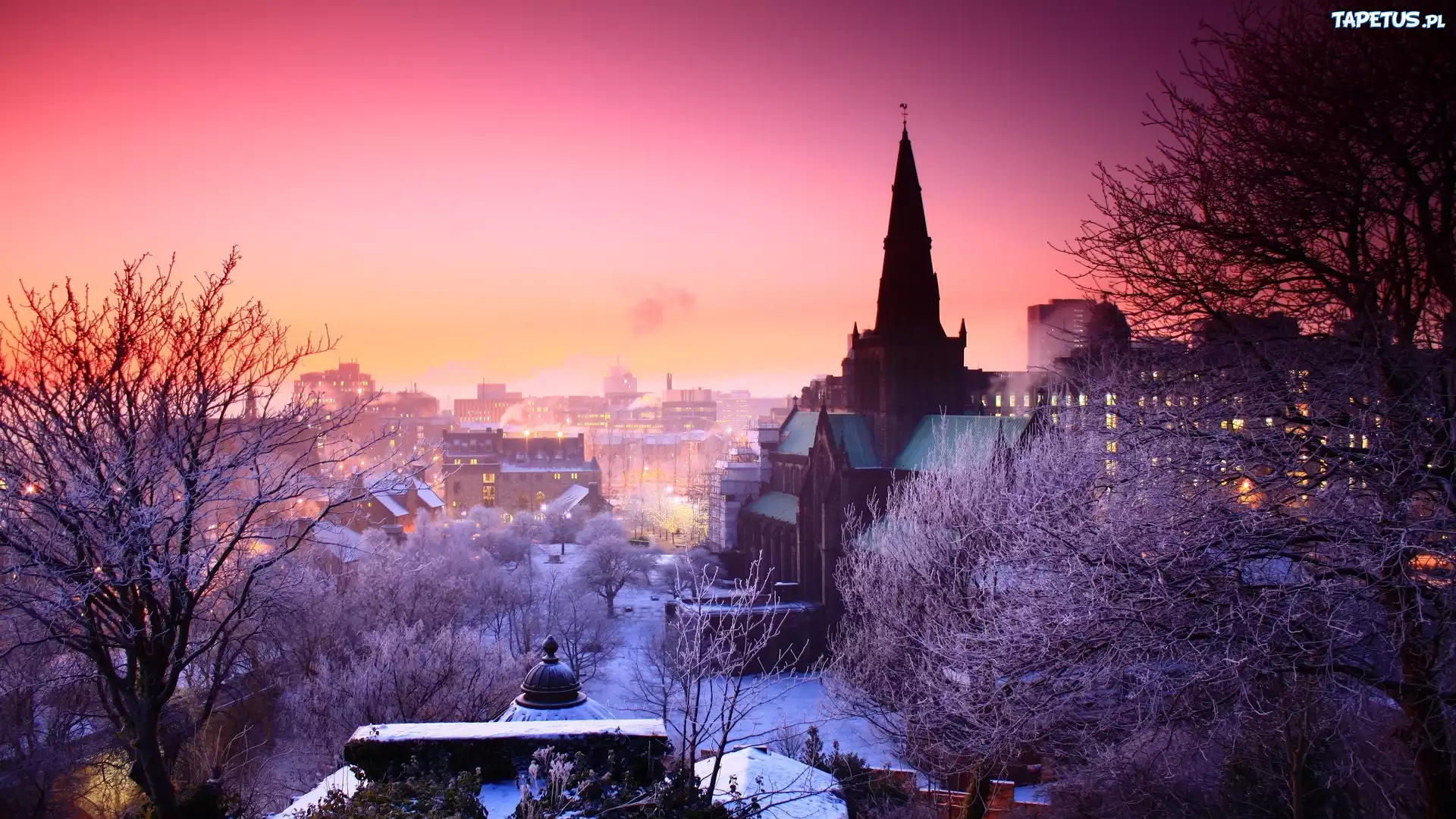Kościół, Zima, Wielka Brytania, Szkocja, Glasgow, Drzewa, Budynki