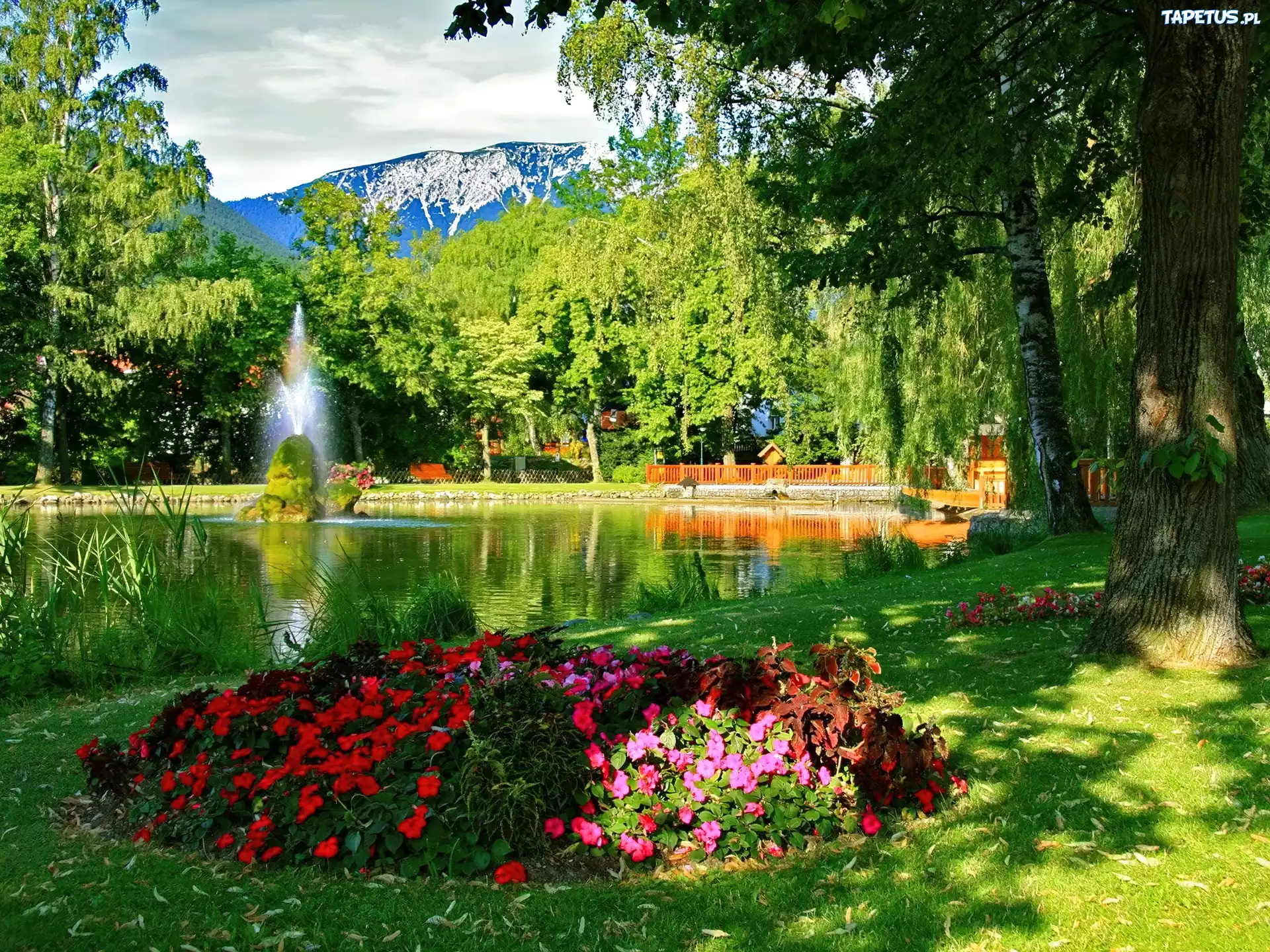 Park, Staw, Fontanna, Kwiaty, Drzewa, Góry, Lato