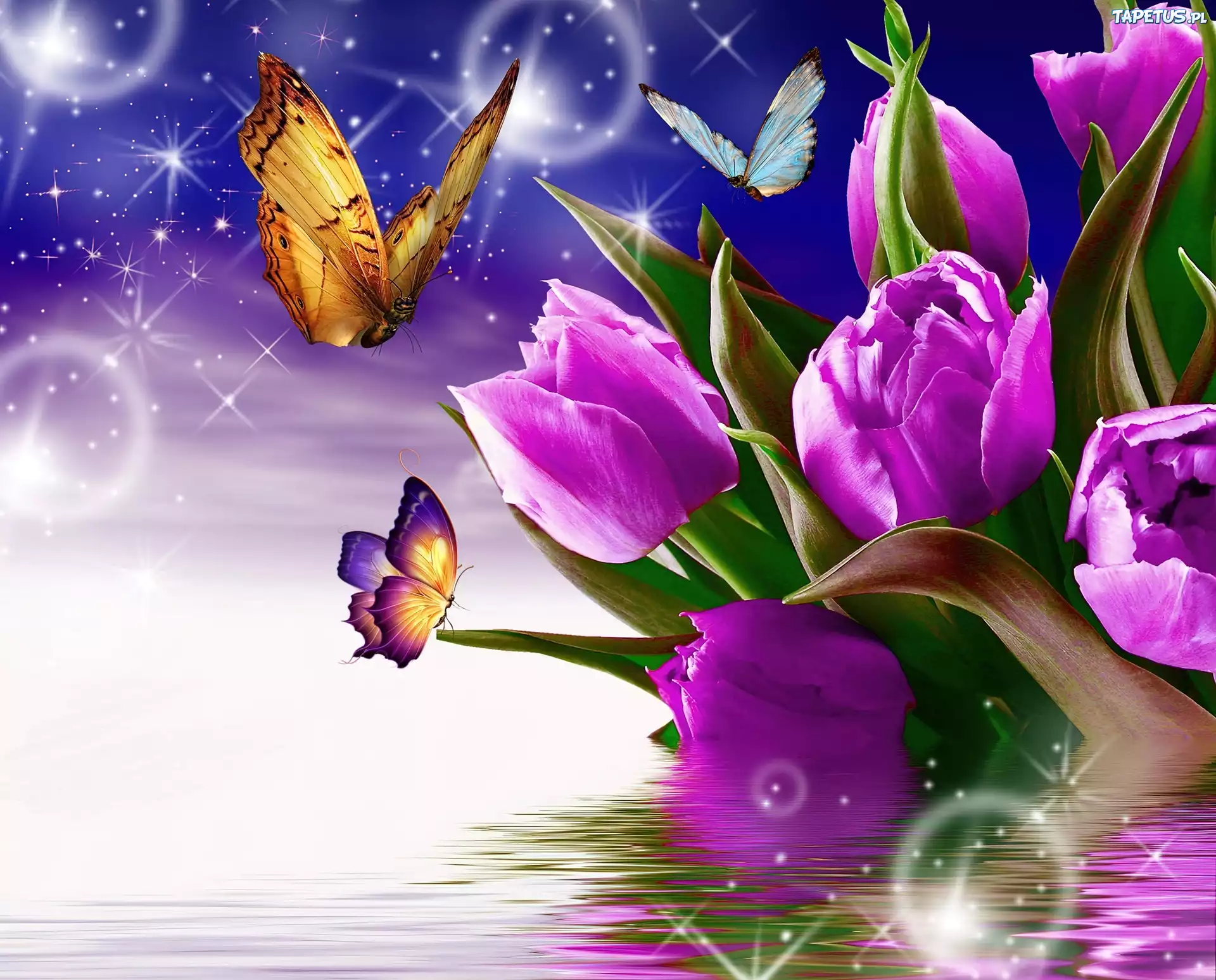 Fioletowe, Tulipany, Motyle, 3D, Wektorowa