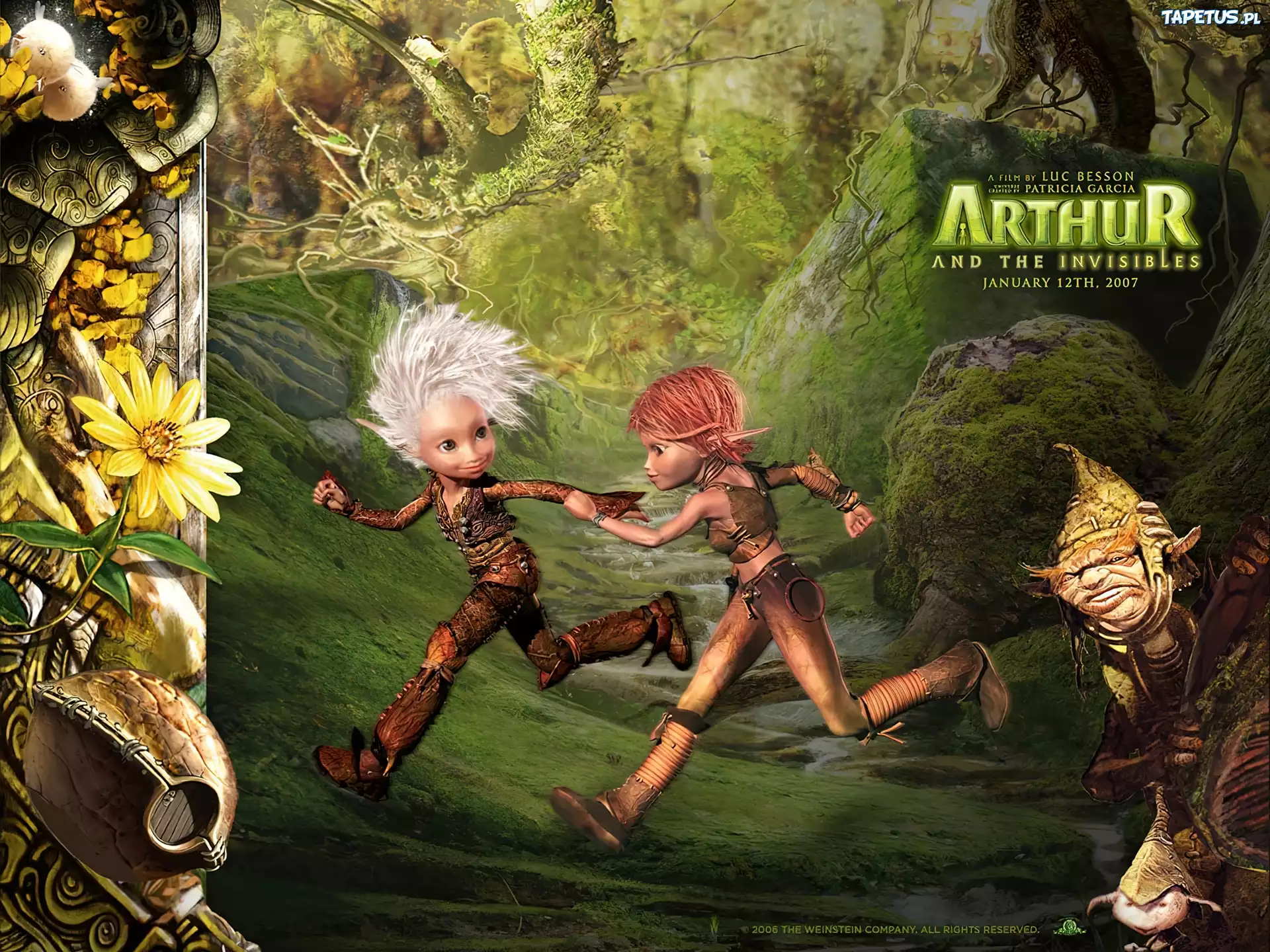 Artur I Minimki, elfy