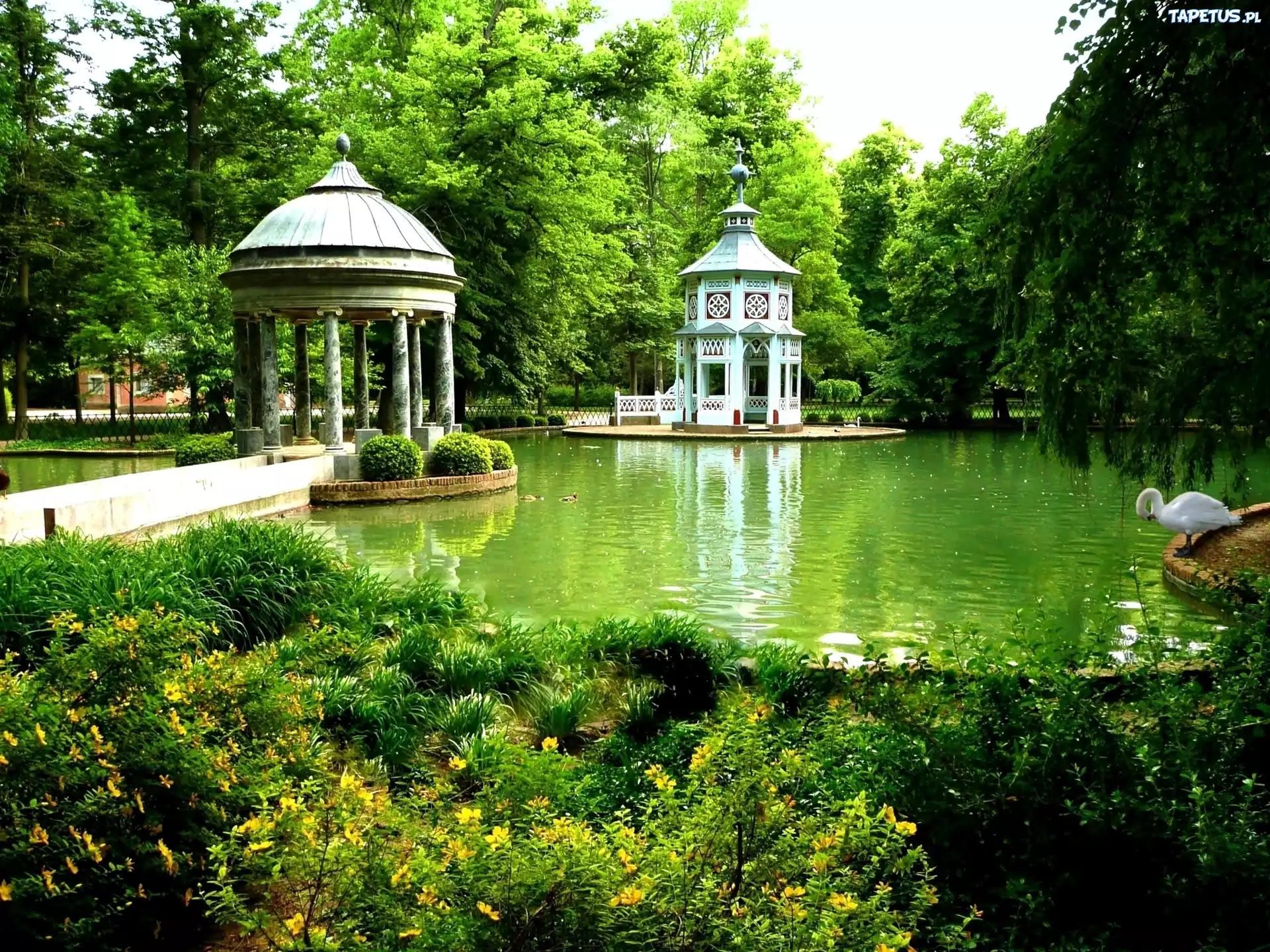 Oczko, Wodne, Altany, Łabędzie, Kaczki, Park, Hiszpania