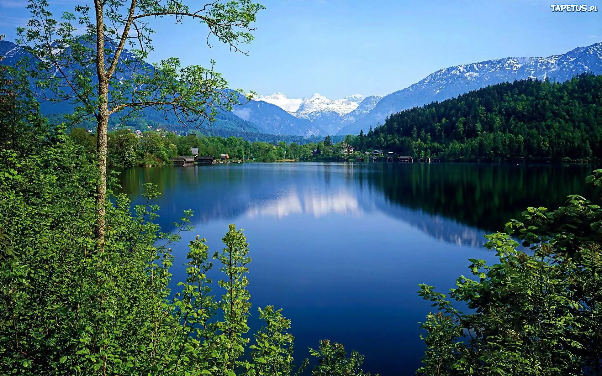 Картинка красивое озеро. Озеро Рица. Ричи (озеро). Природа Австрии озера реки. У озера.