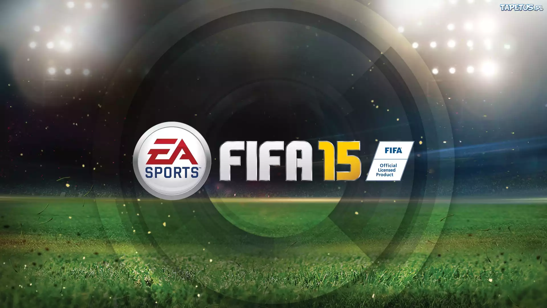 Logo, Fifa 2015