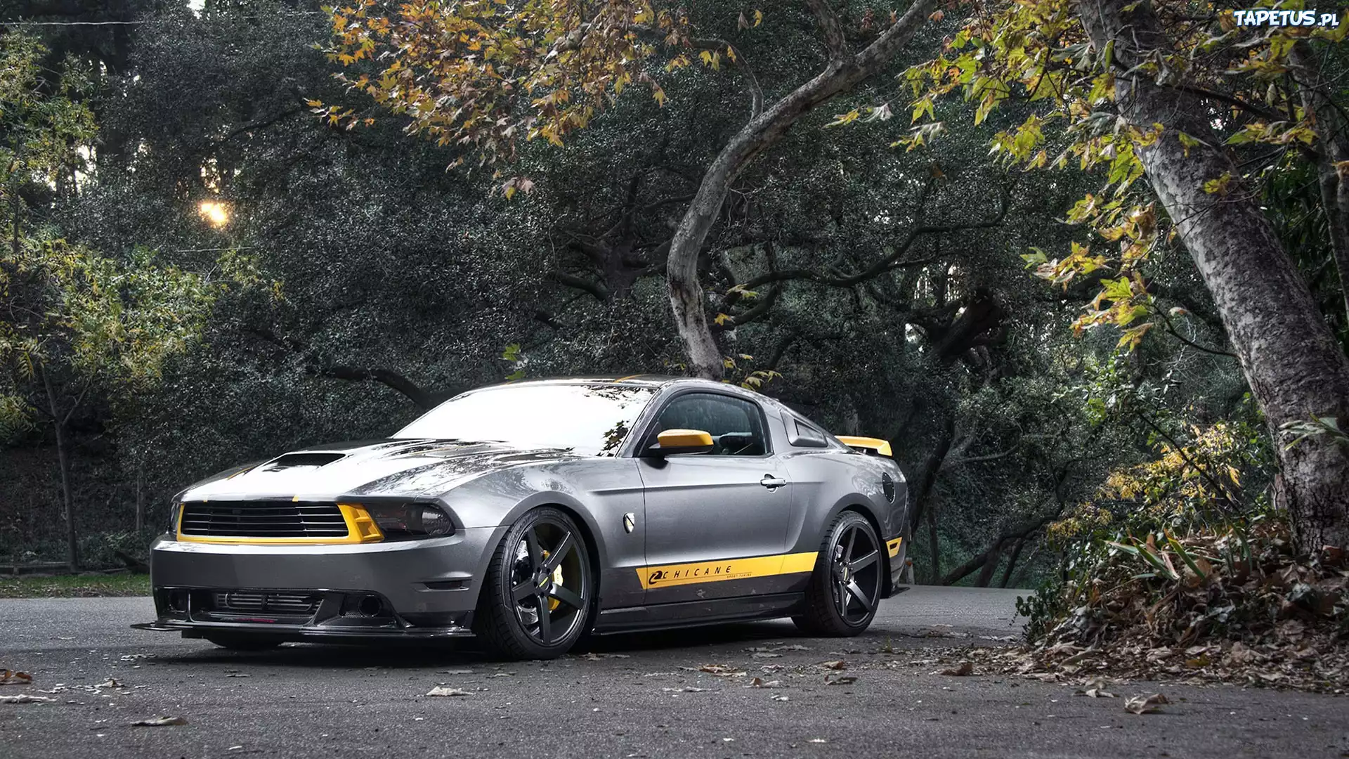 Ford, Mustang, Droga, Drzewa