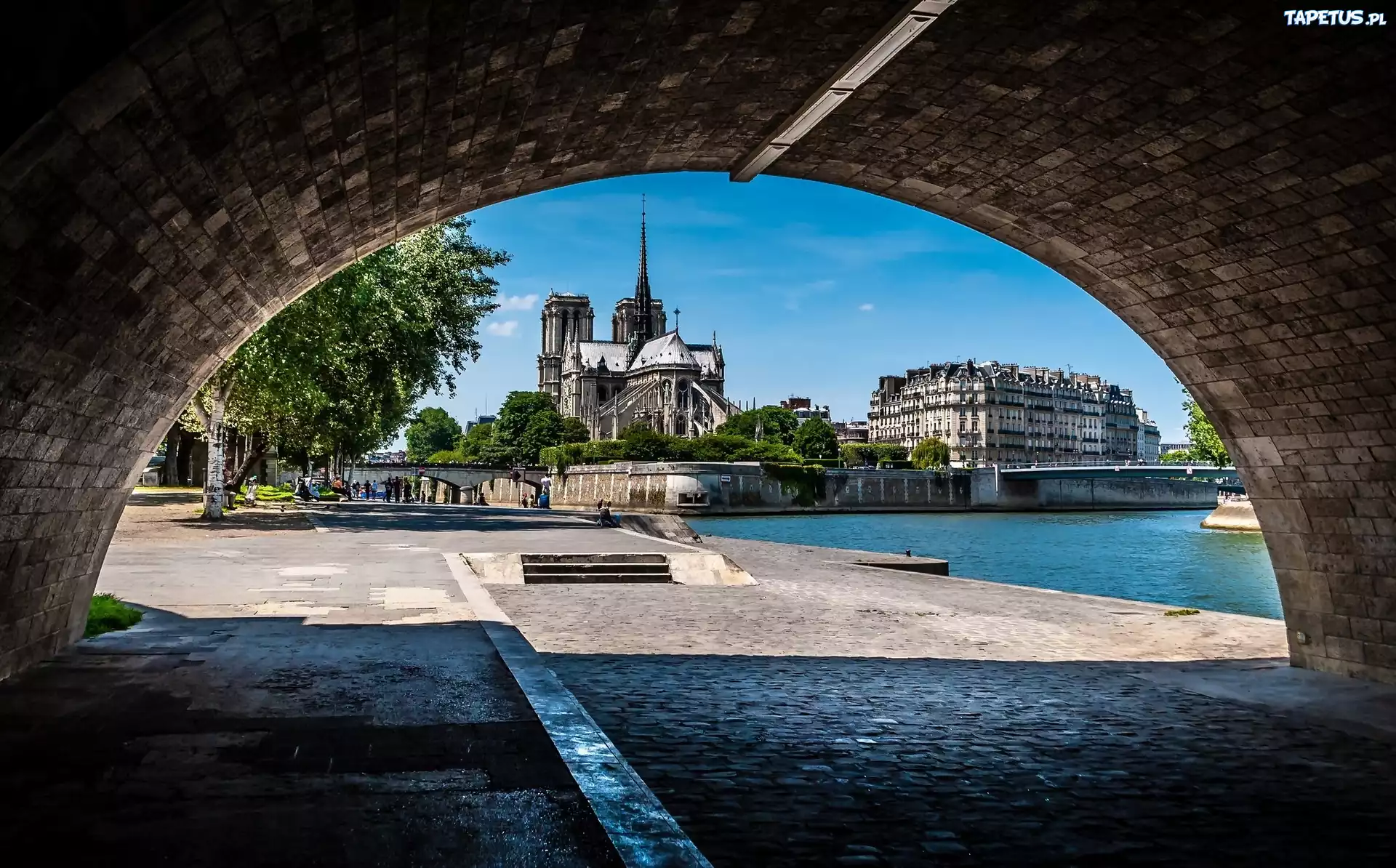 Katedra, Notre Dame, Tunel, Paryż, Francja