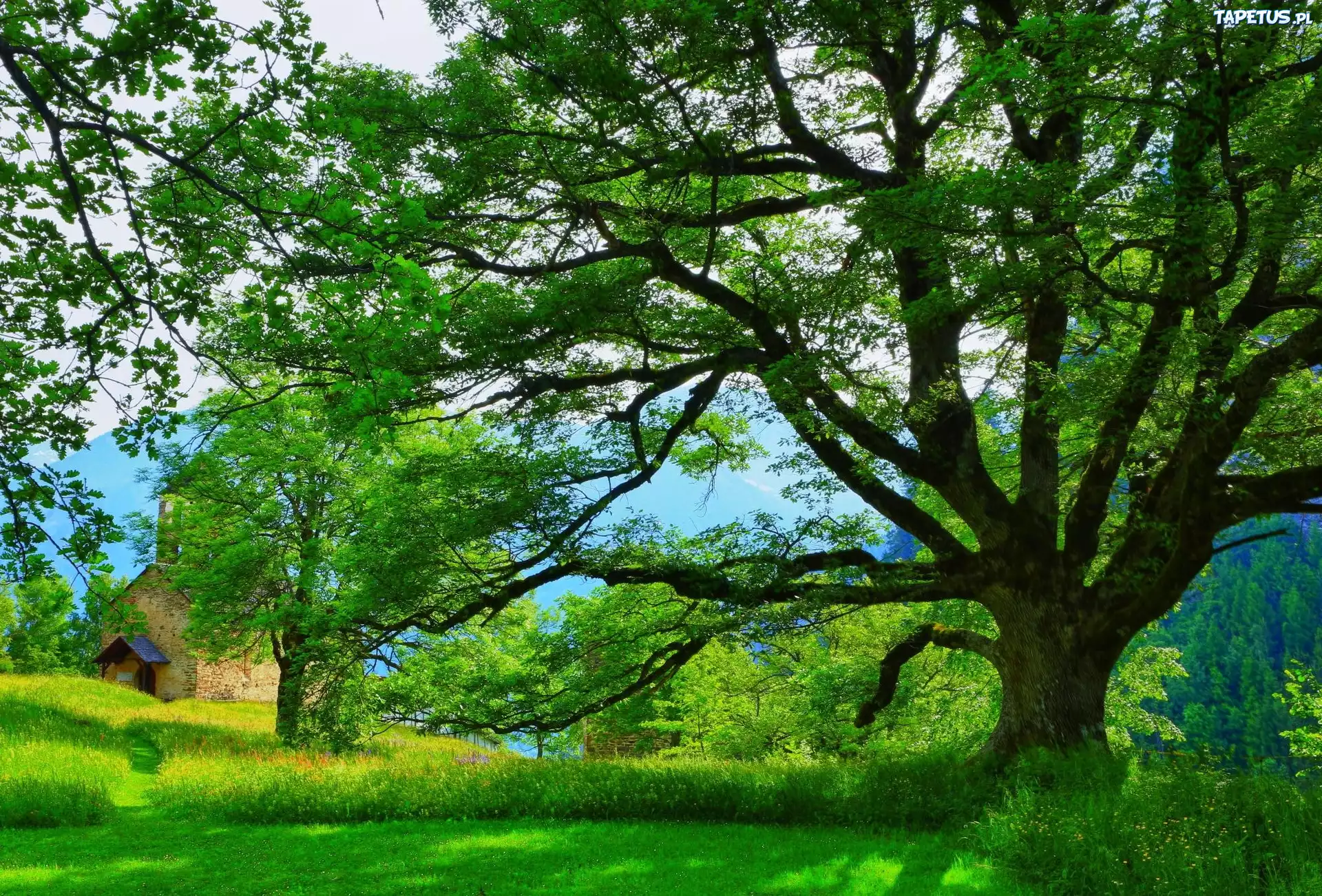 Park