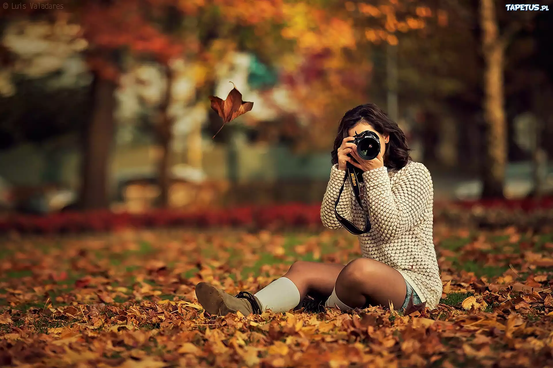 Kobieta, Aparat, Fotograficzny, Nikon