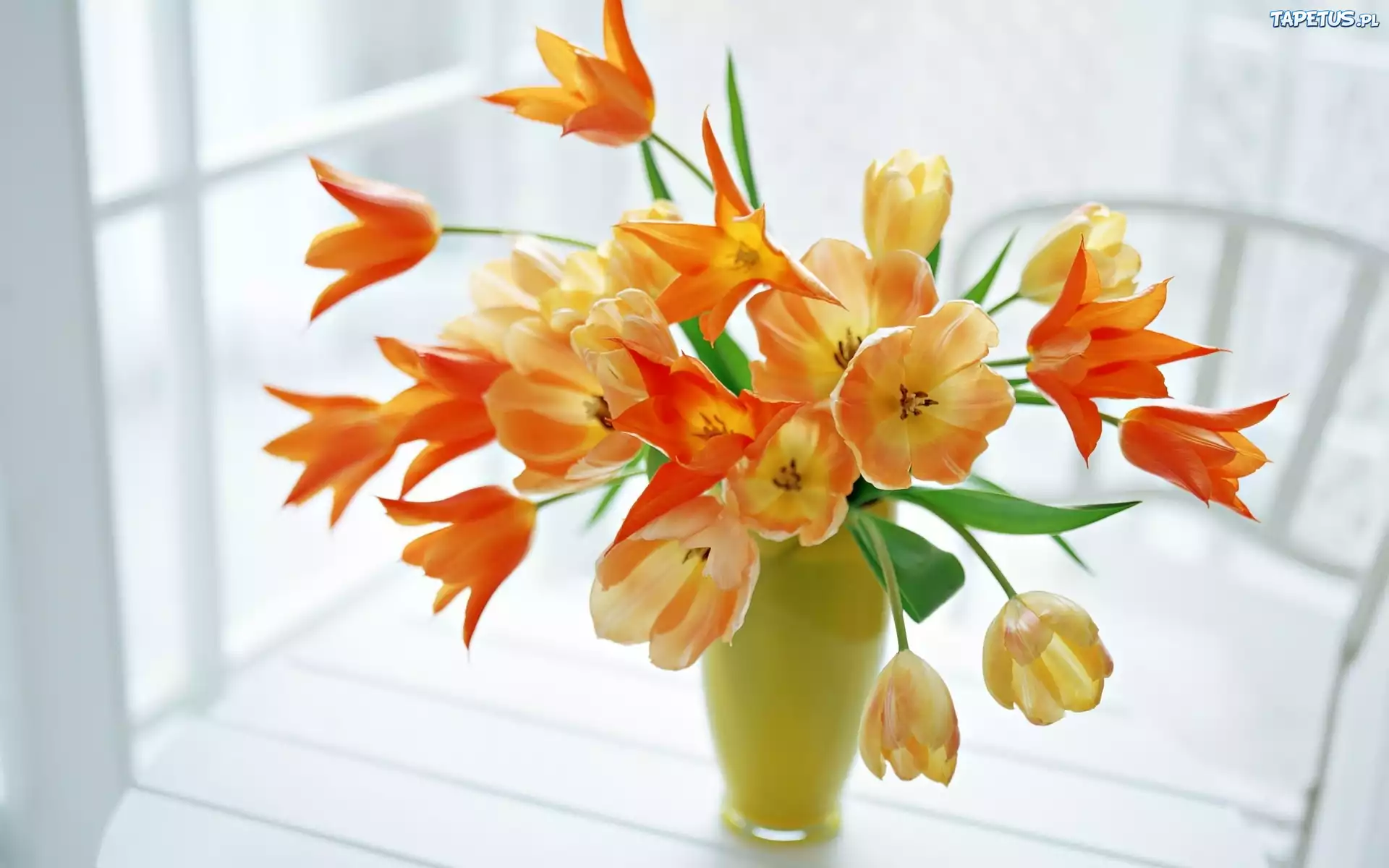 Pomarańczowe, Tulipany, Wazon