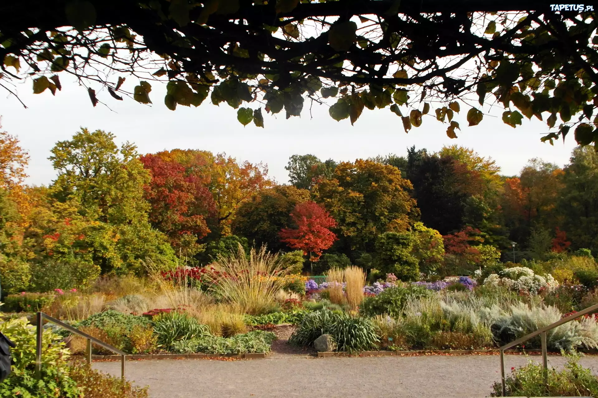 Park