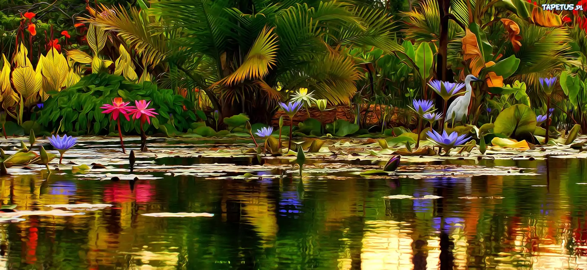 Staw, Lilie wodne, Ptak, Rośliny, Art, 3D