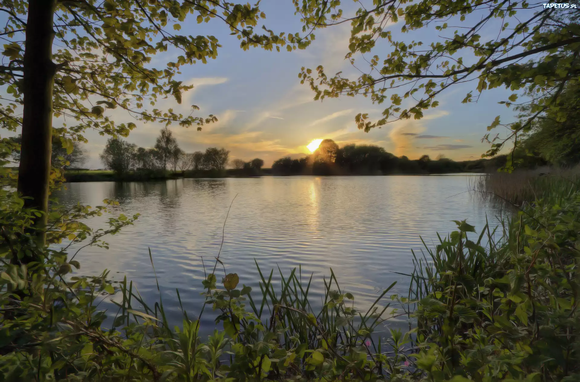 Jezioro, Zachód, Słońca, Drzewa