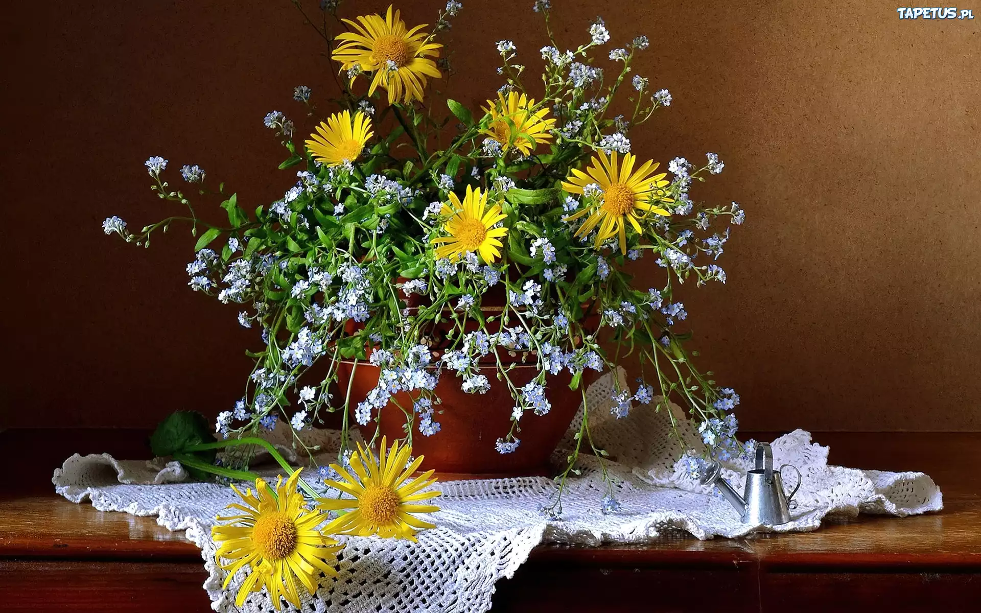 Kompozycja, Bukiet, Niezapominajki, Rudbekia, Serweta