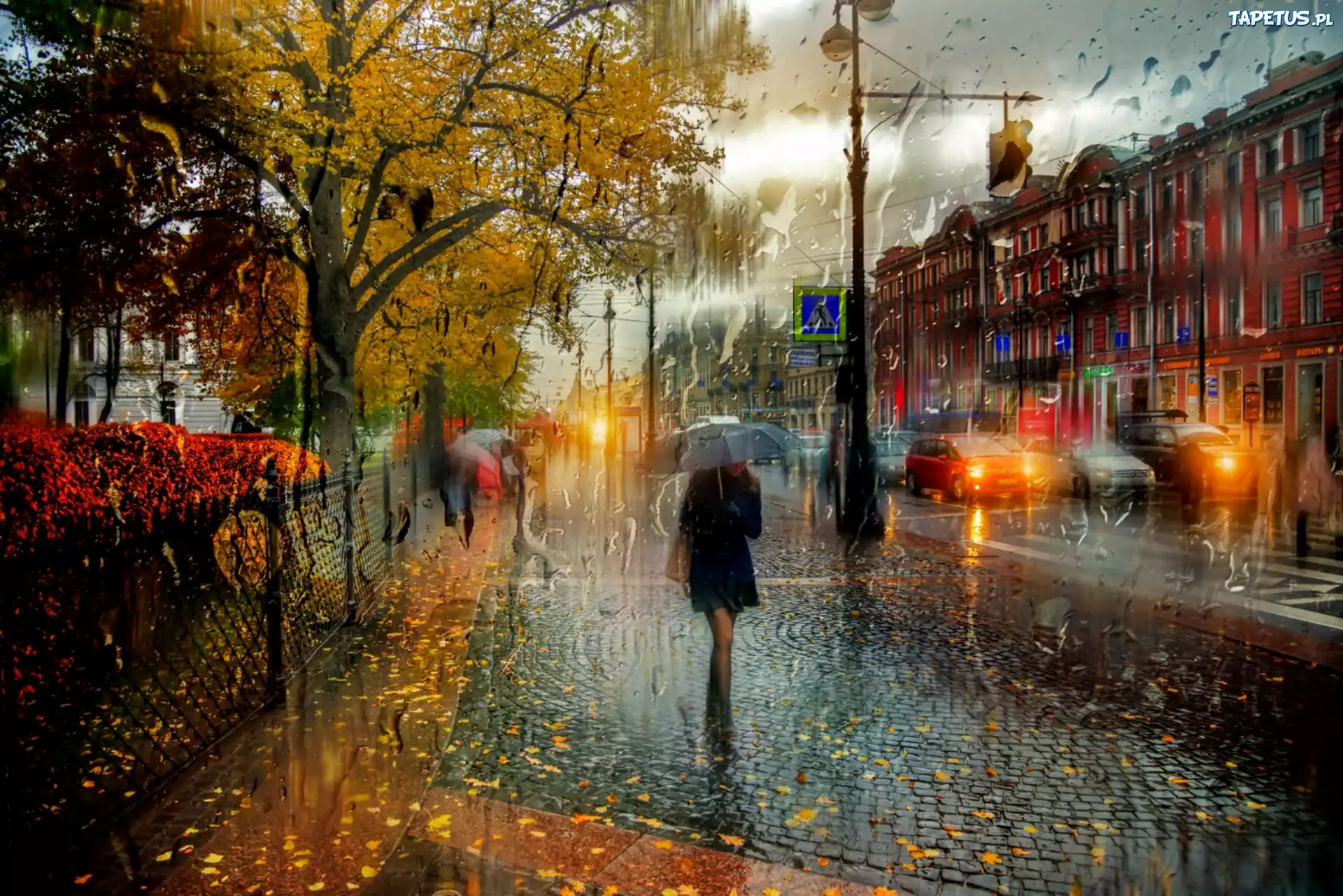 Jesień, Kobieta, Parasol,Miasto, Deszcz, Liście