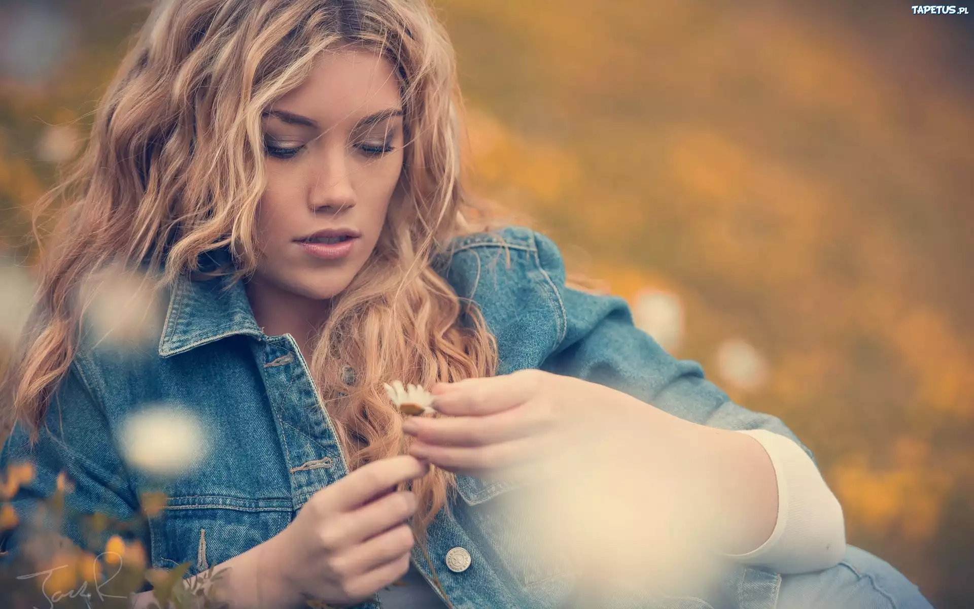 Kobieta, Gigi Hadid, Kwiatek, Stokrotka