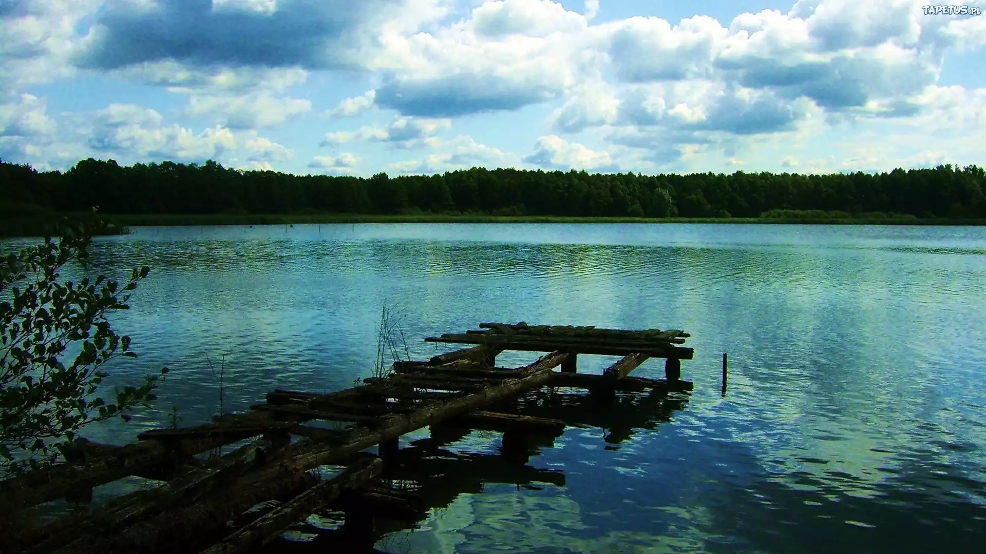Las, Jezioro, Pomost