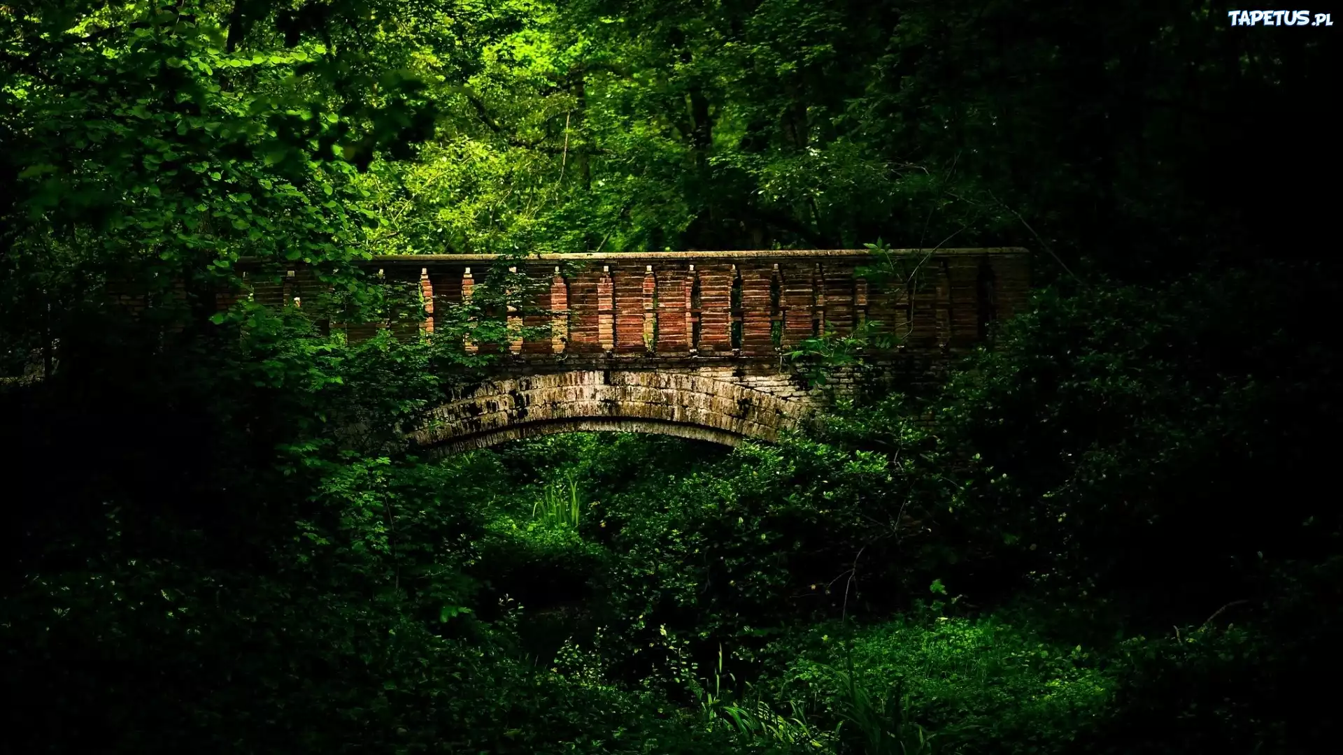 Park, Most