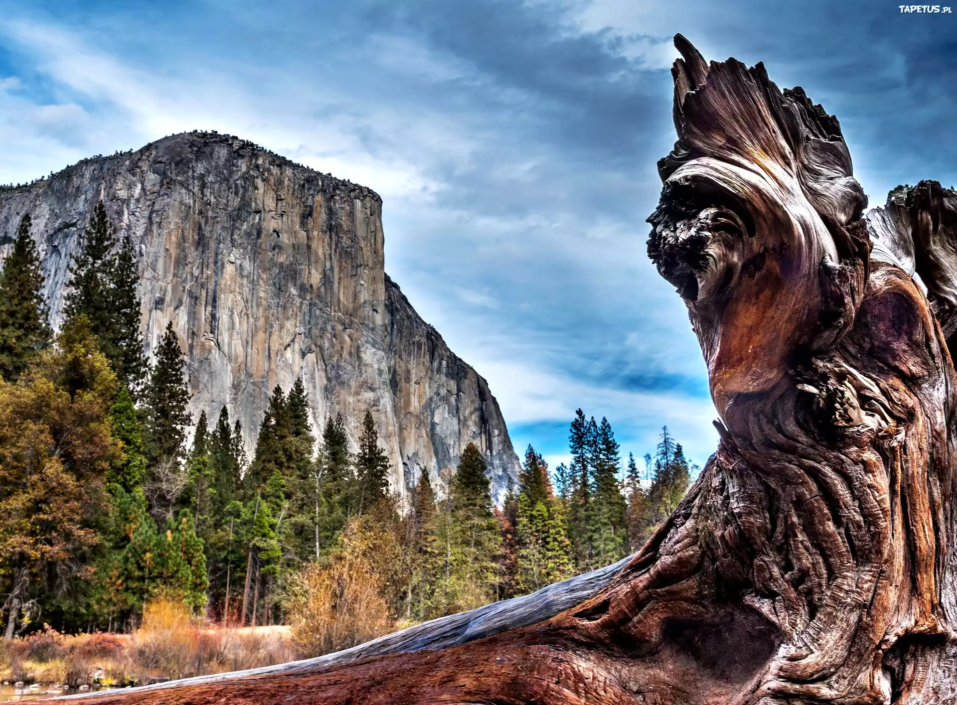 Park, Narodowy, Yosemite, USA