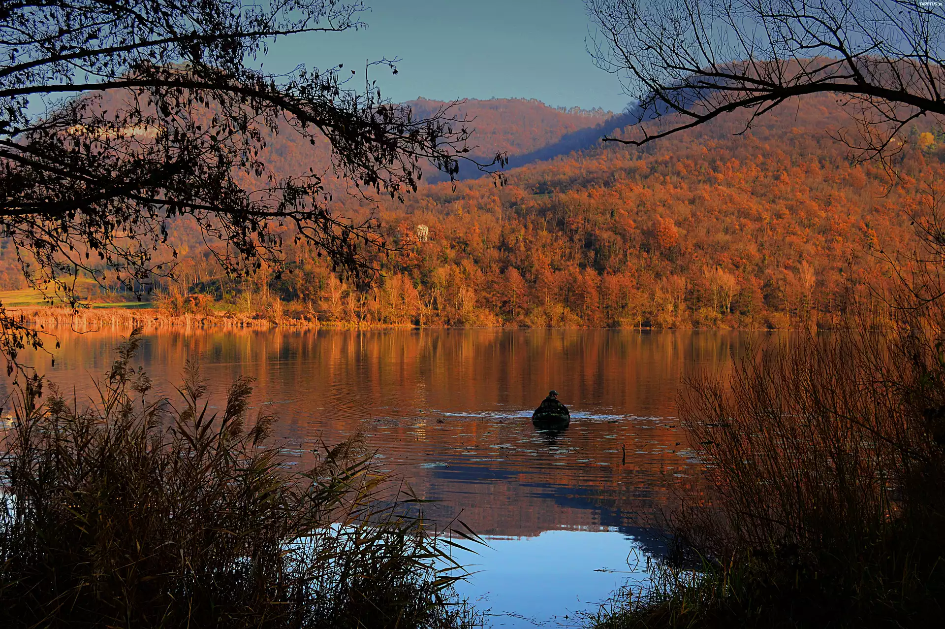 Jezioro, Jesień, Ponton, Krzewy