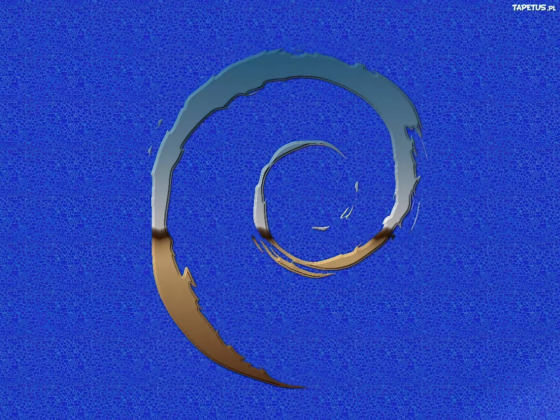grafika, muszla, ślimak, zawijas, Linux Debian