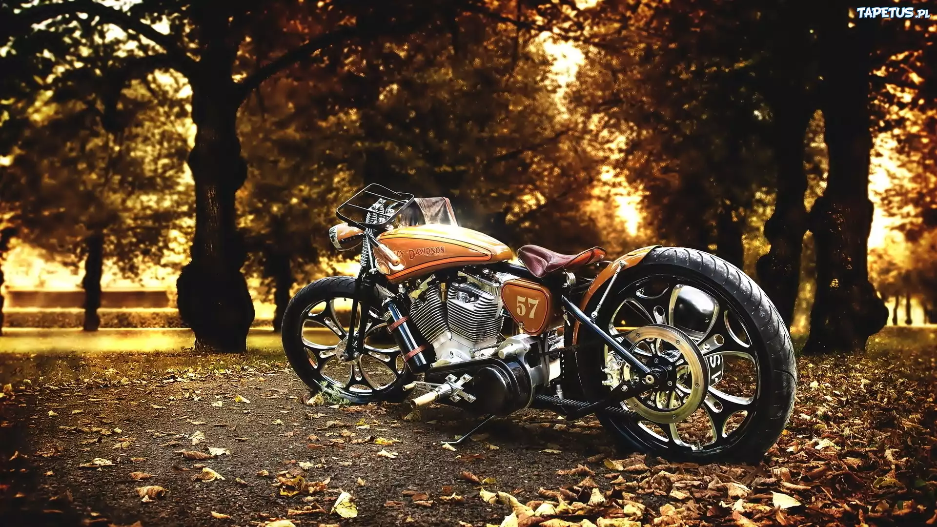 Harley-Davidson