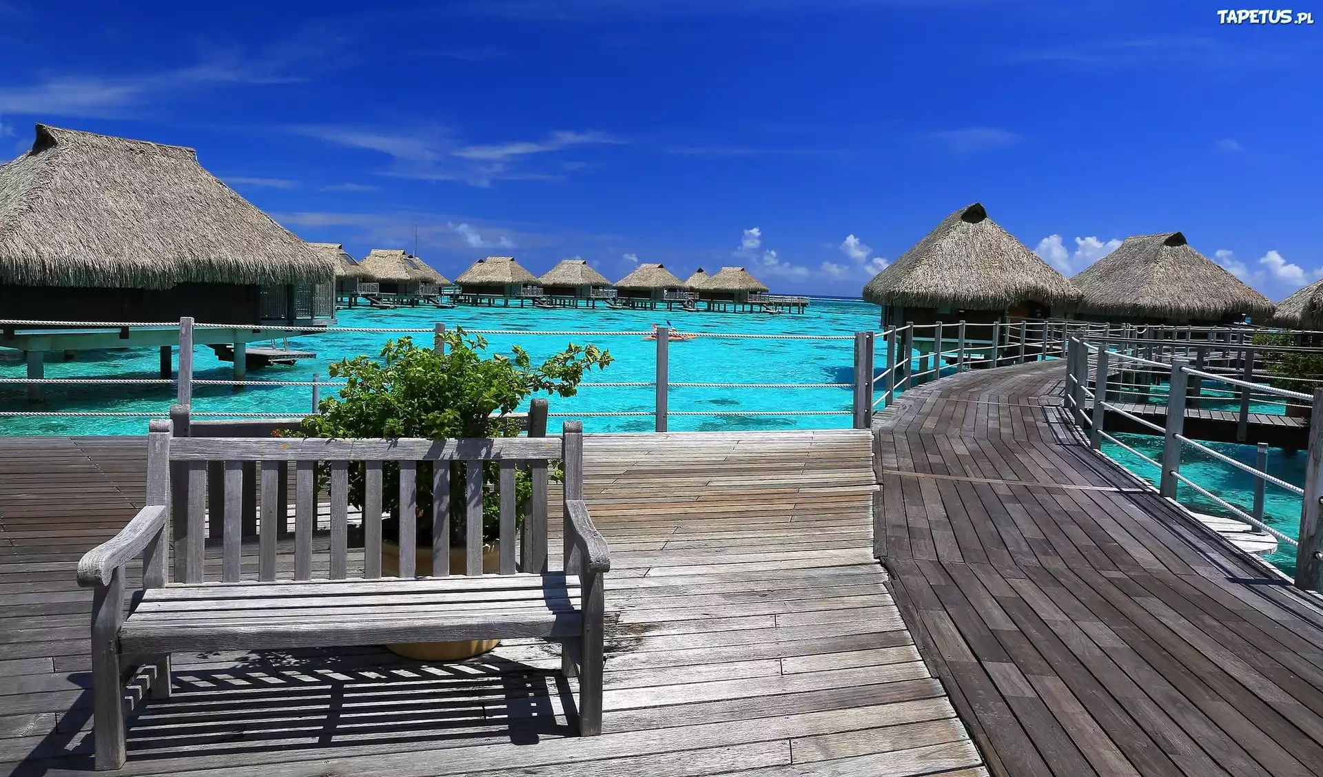 Wyspa, Moorea, Kurort, Ławka, Ocean, Domki, Bungalow
