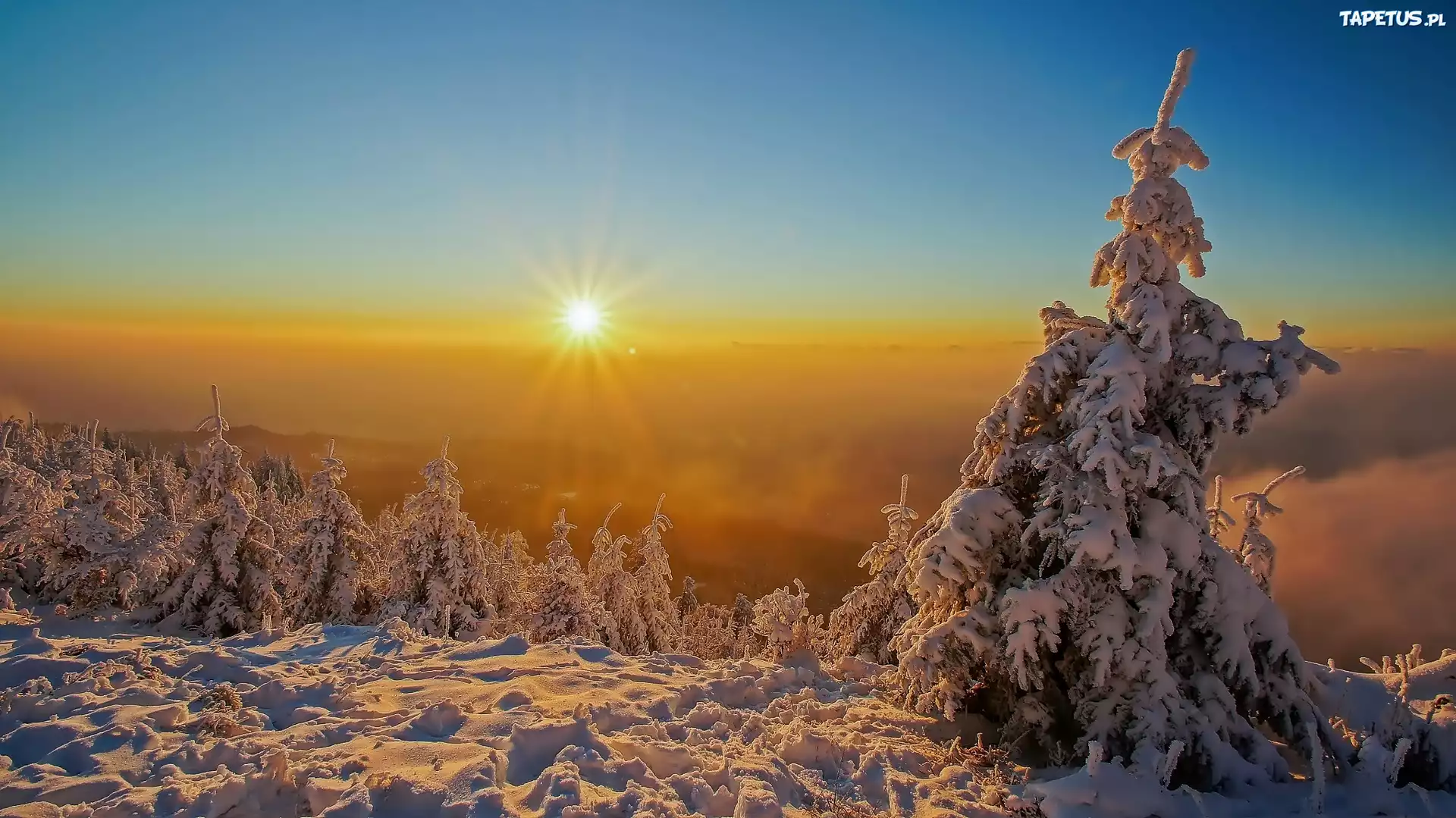 зима снег холм солнце winter snow hill the sun скачать