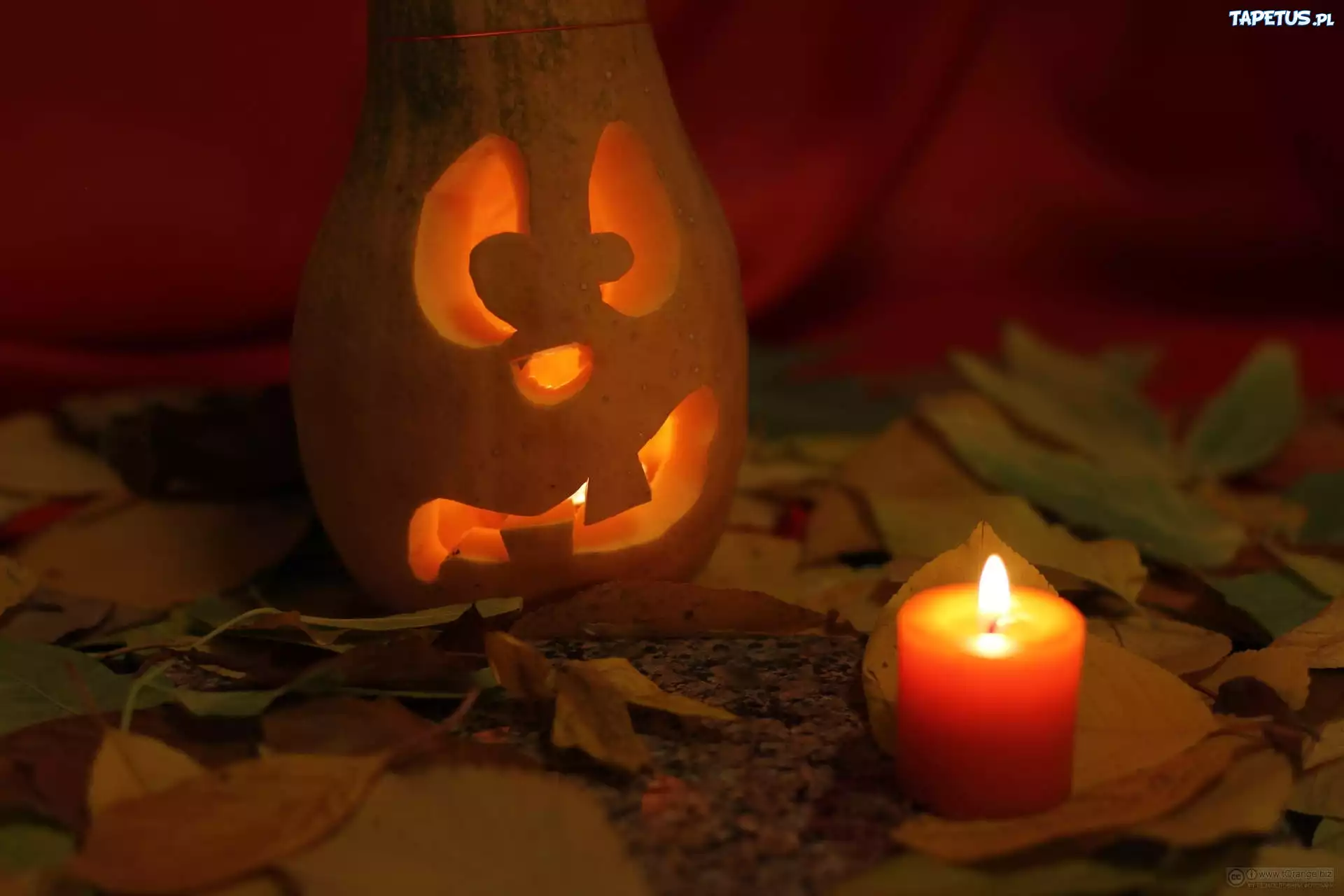Dynia, Świeczka, Liście, Jesień, Halloween