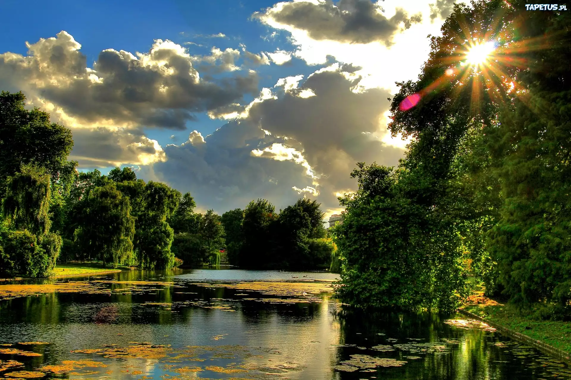 Park, Promienie, Słońca, Staw