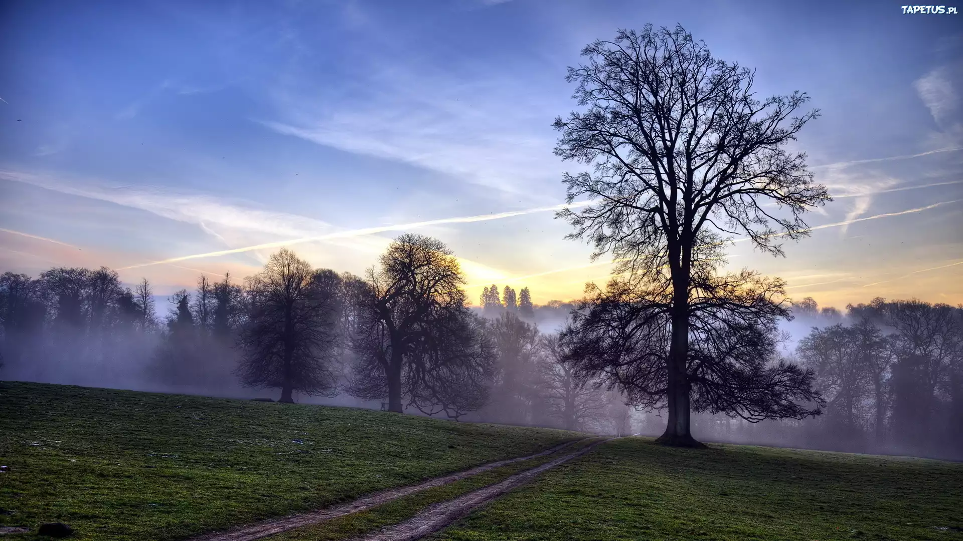 закат дорога лес sunset road forest без смс