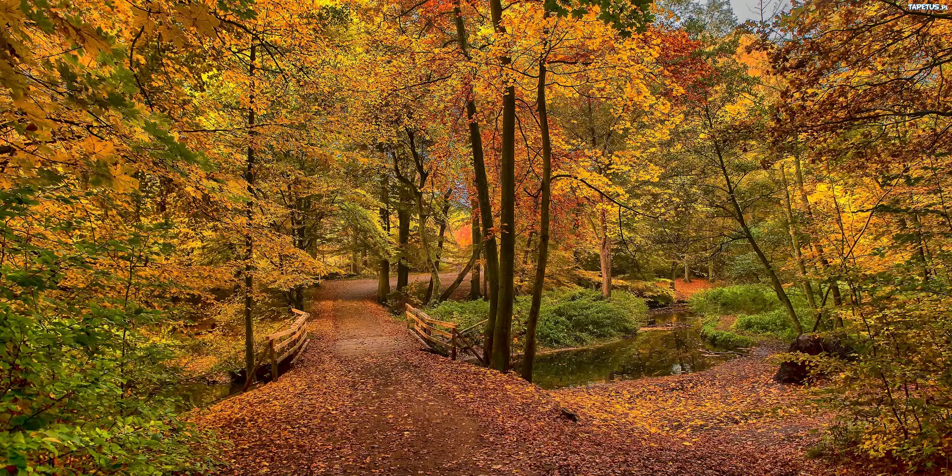 Jesień, Park