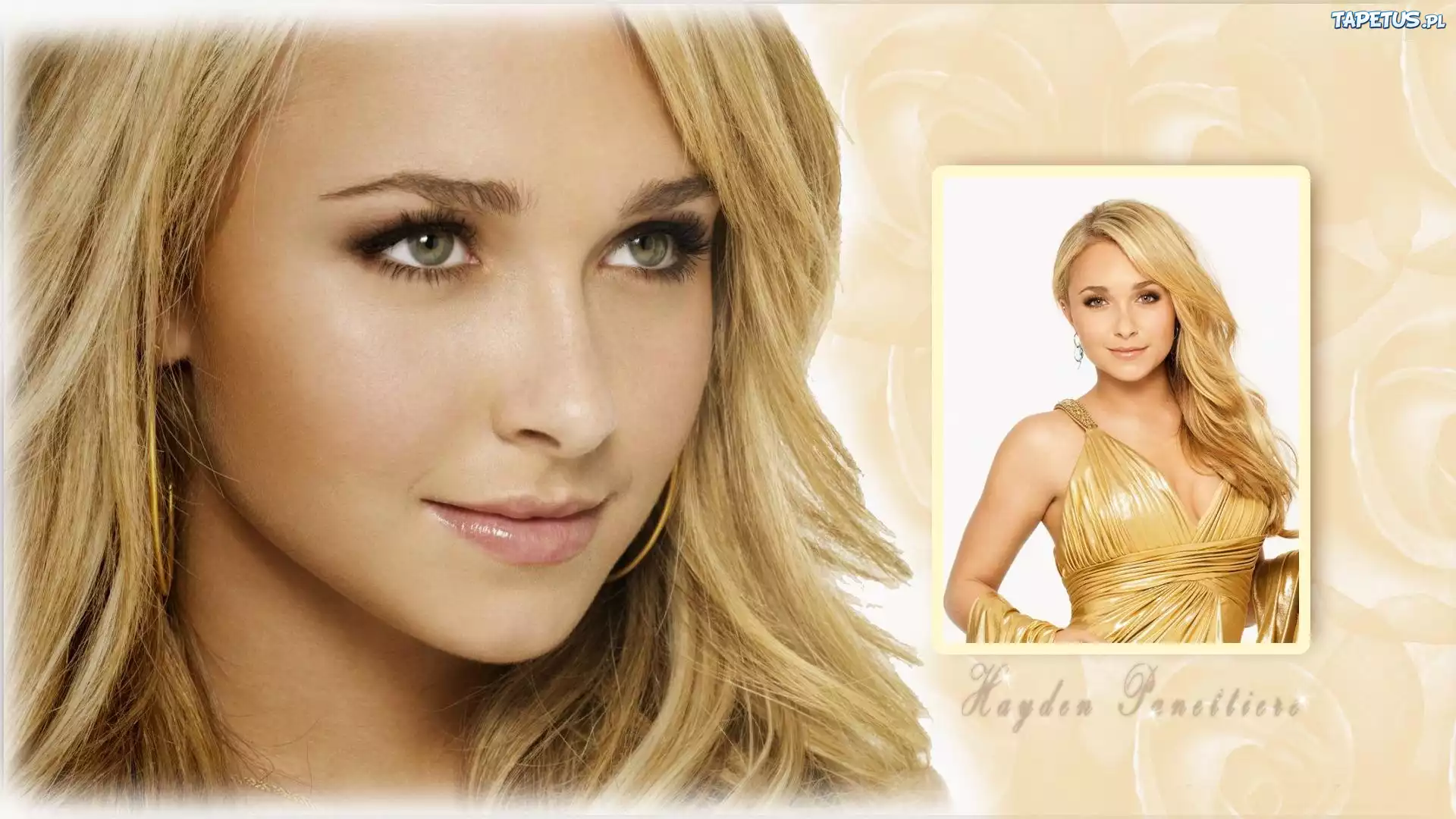Hayden Panettiere, Blondynka, Napis