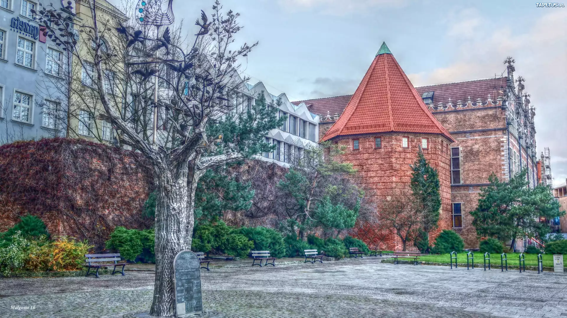 Gdańsk, Budynki, Drzewo, Tabliczka, HDR