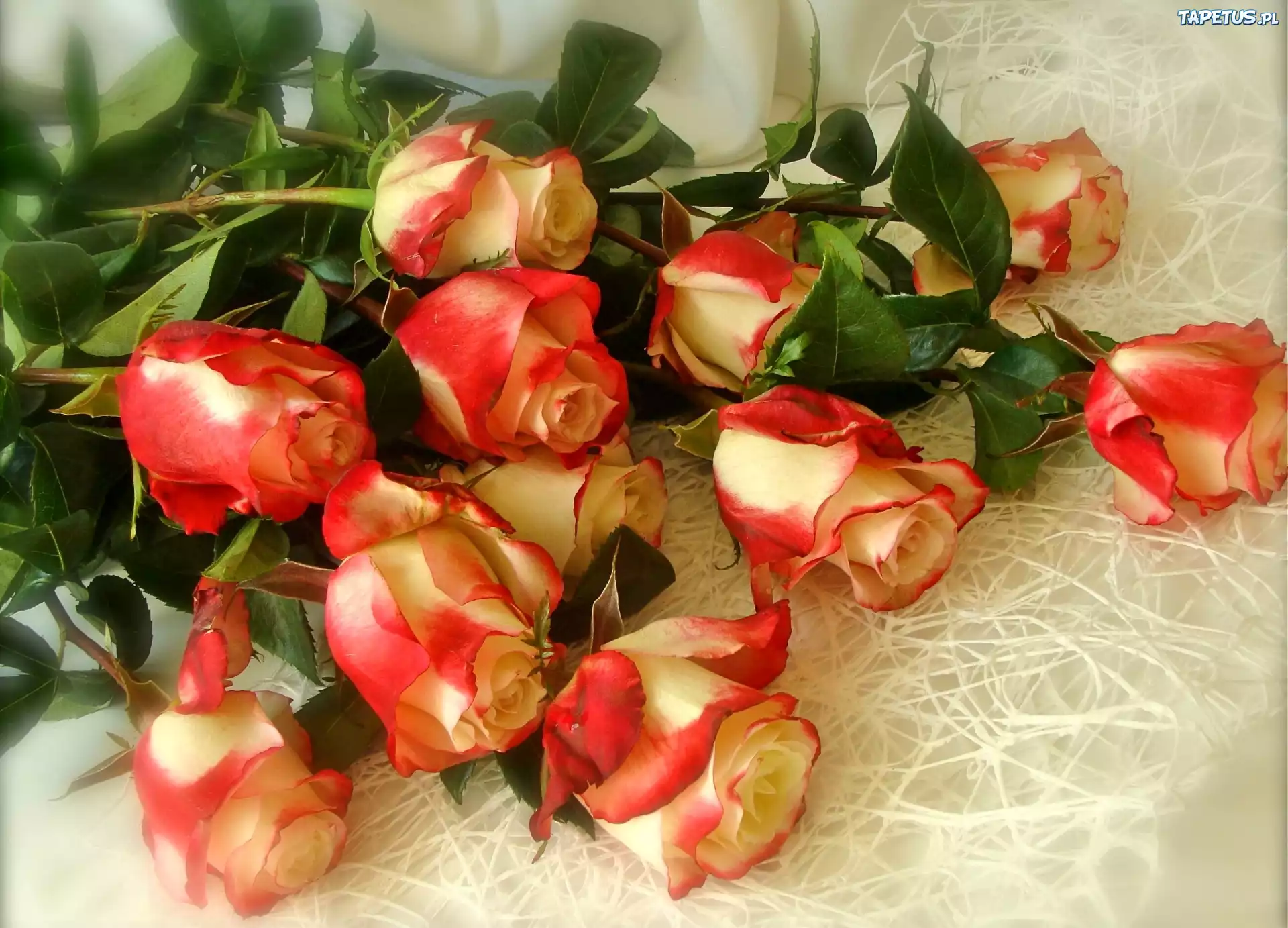 Roze, Bukiet