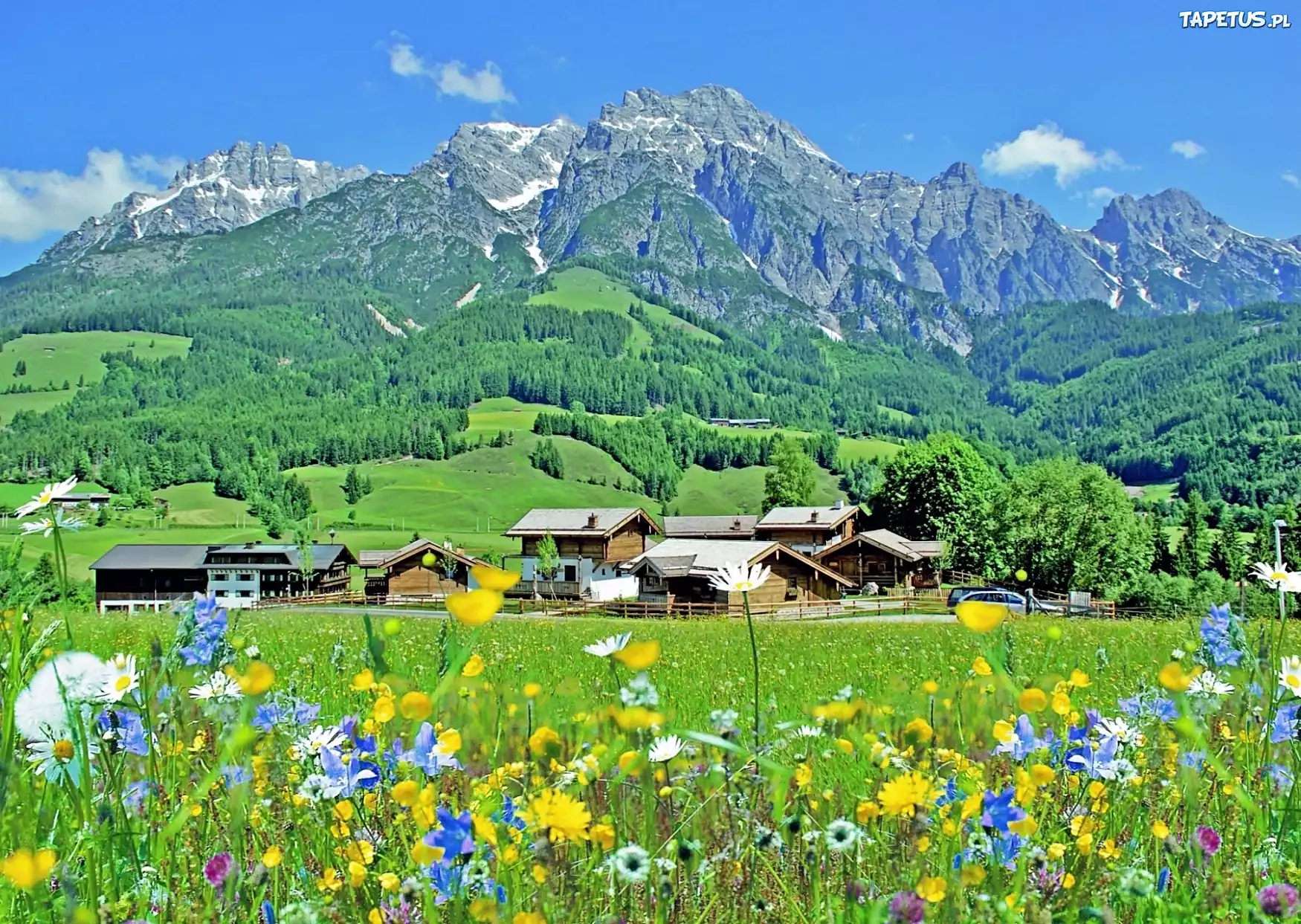 Góry, Lasy, Łąka, Wioska, Steinalmdorf