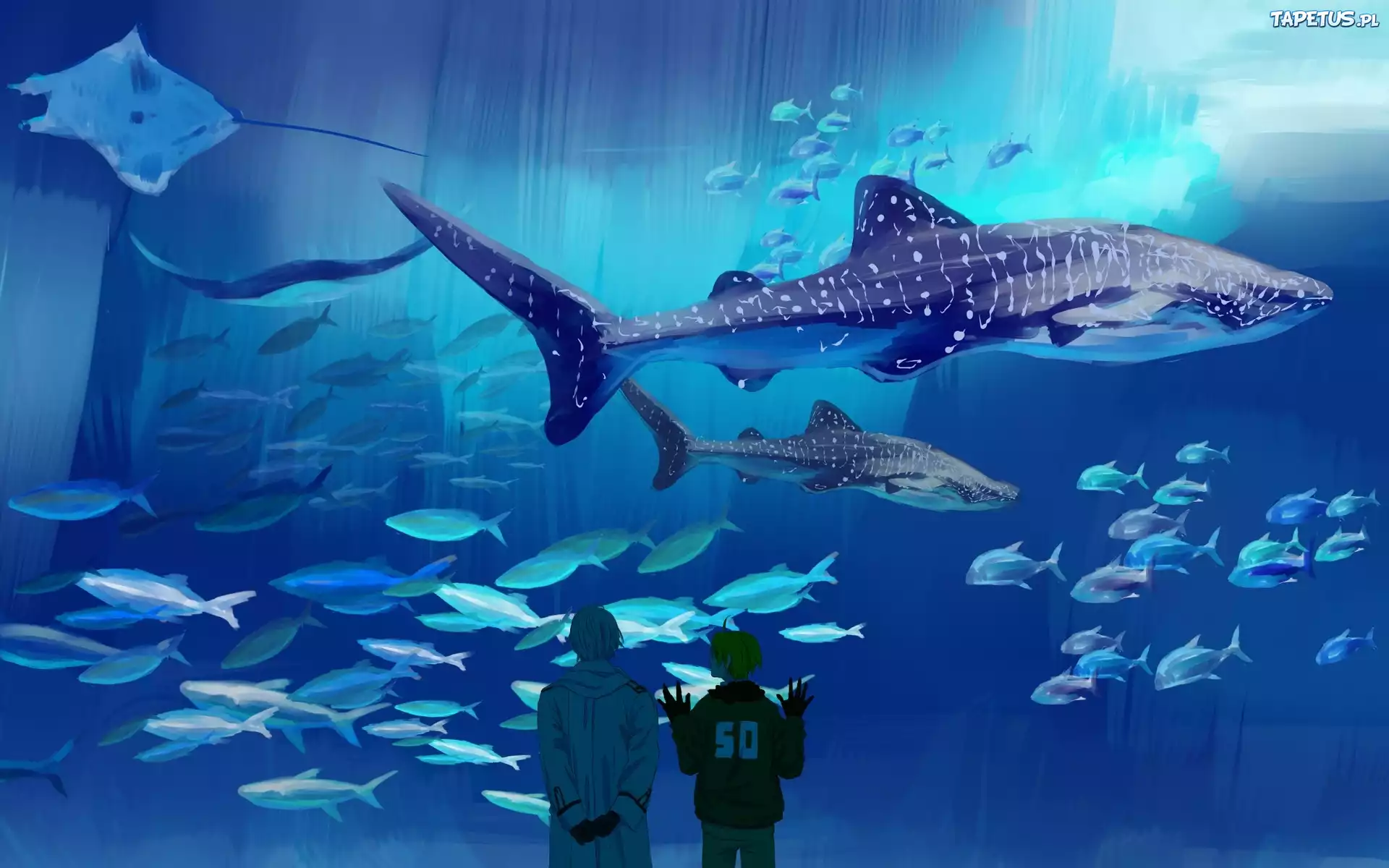 Axis Powers Hetalia, Manga, Anime, Oceanarium