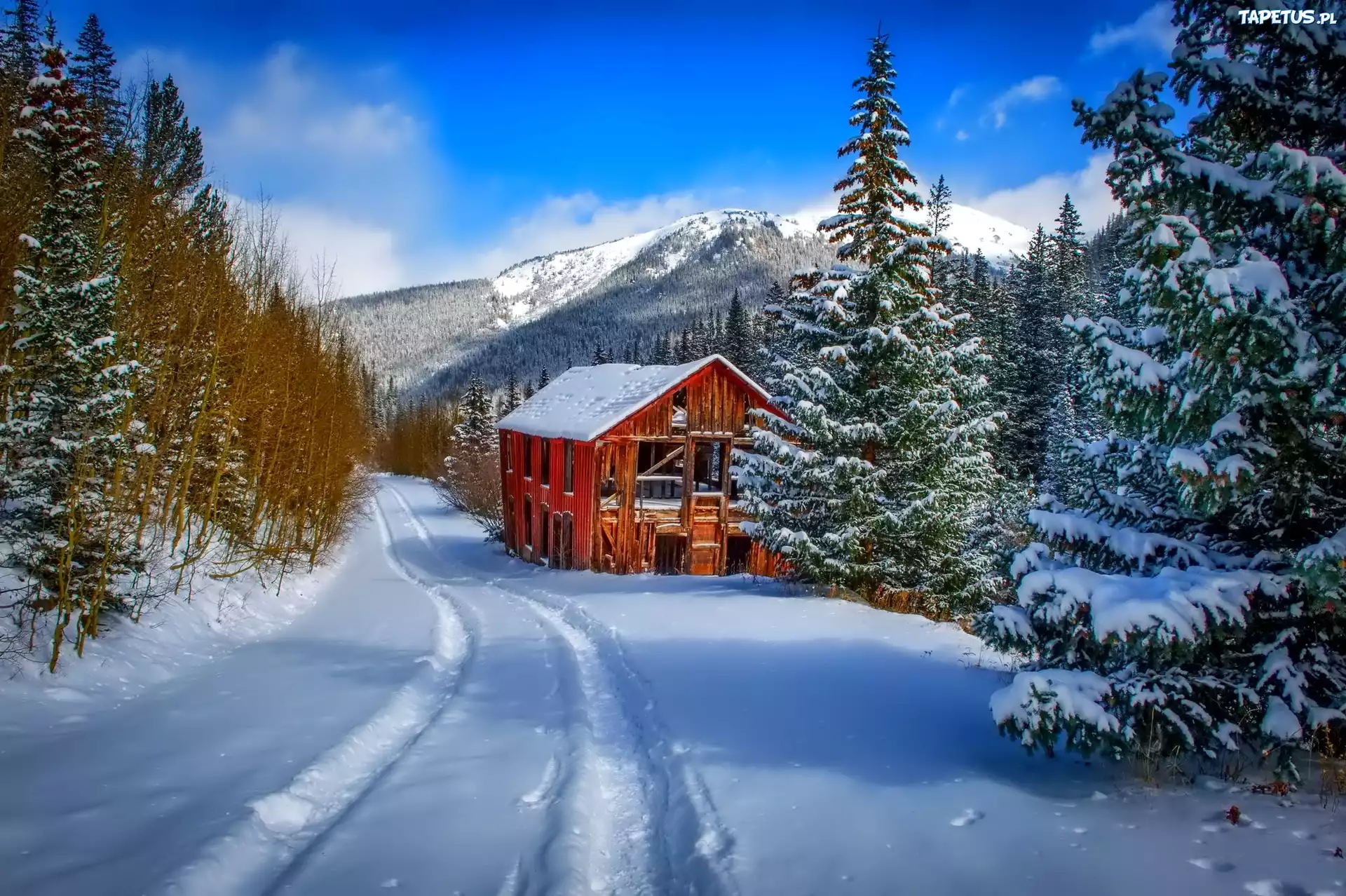 природа снег зима дома деревья горы загрузить