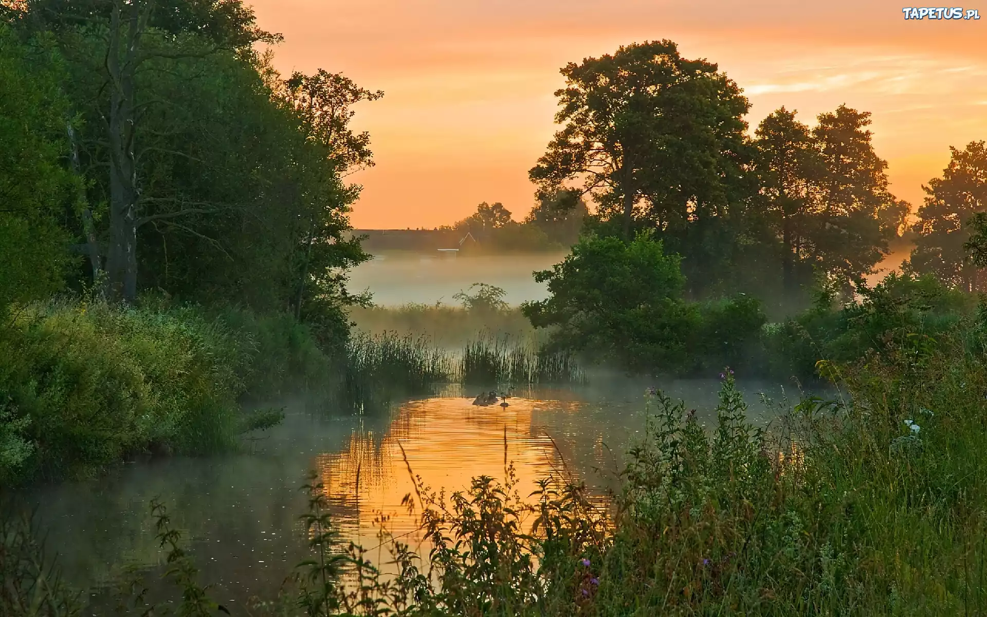 Пейзаж утро. Речные заводи фотопейзажи. Вечер на берегу реки. Рассвет на реке. Летнее утро на реке.