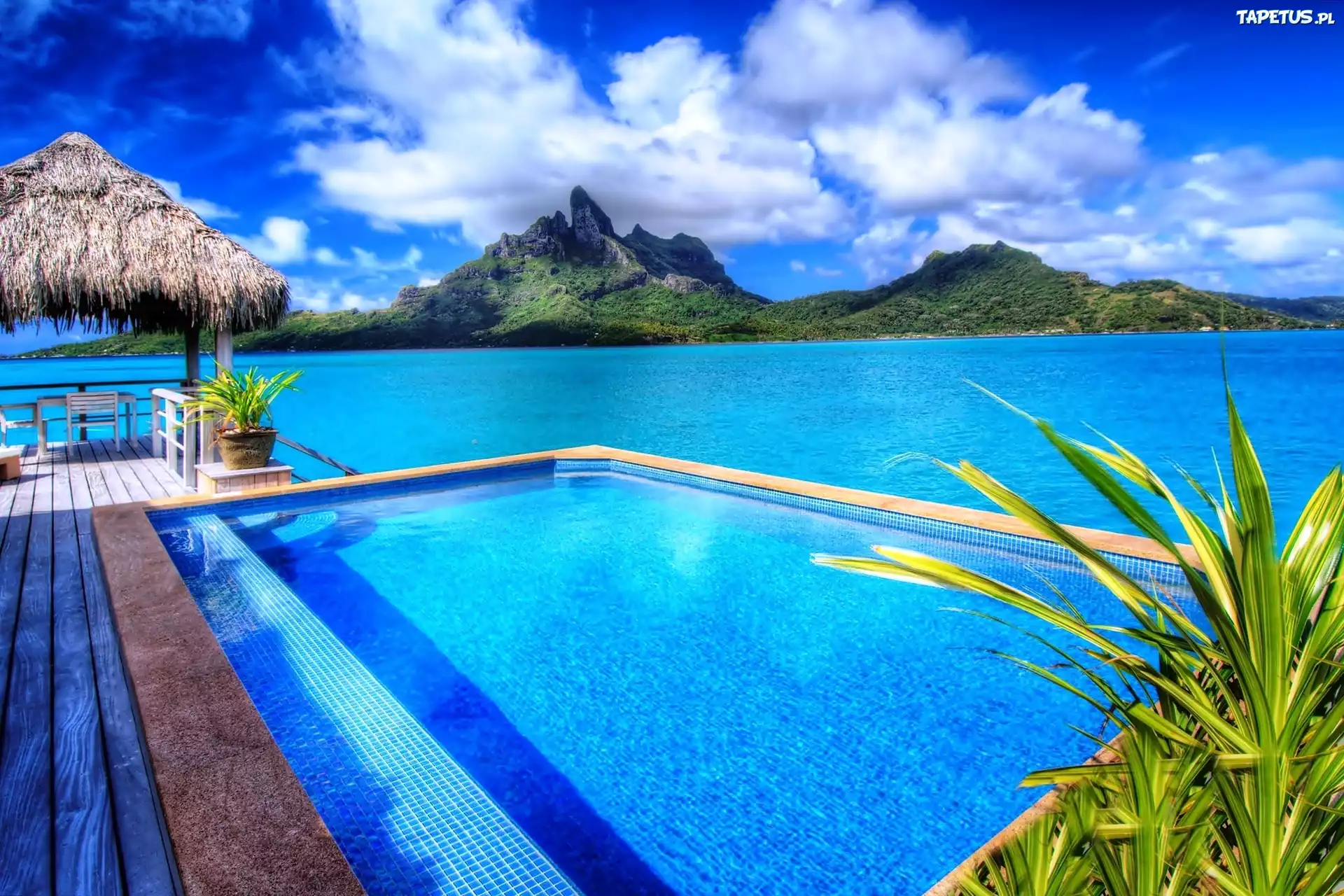 Bungalow, Basen, Góry, Morze, Bora Bora