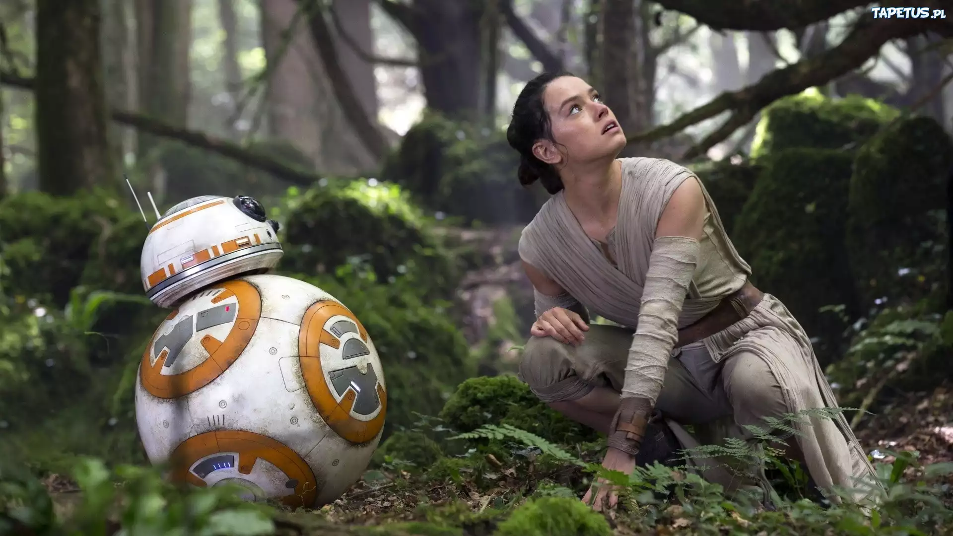 Robot, Dziewczyna, Daisy Ridley, Aktorka, Film, Gwiezdne Wojny